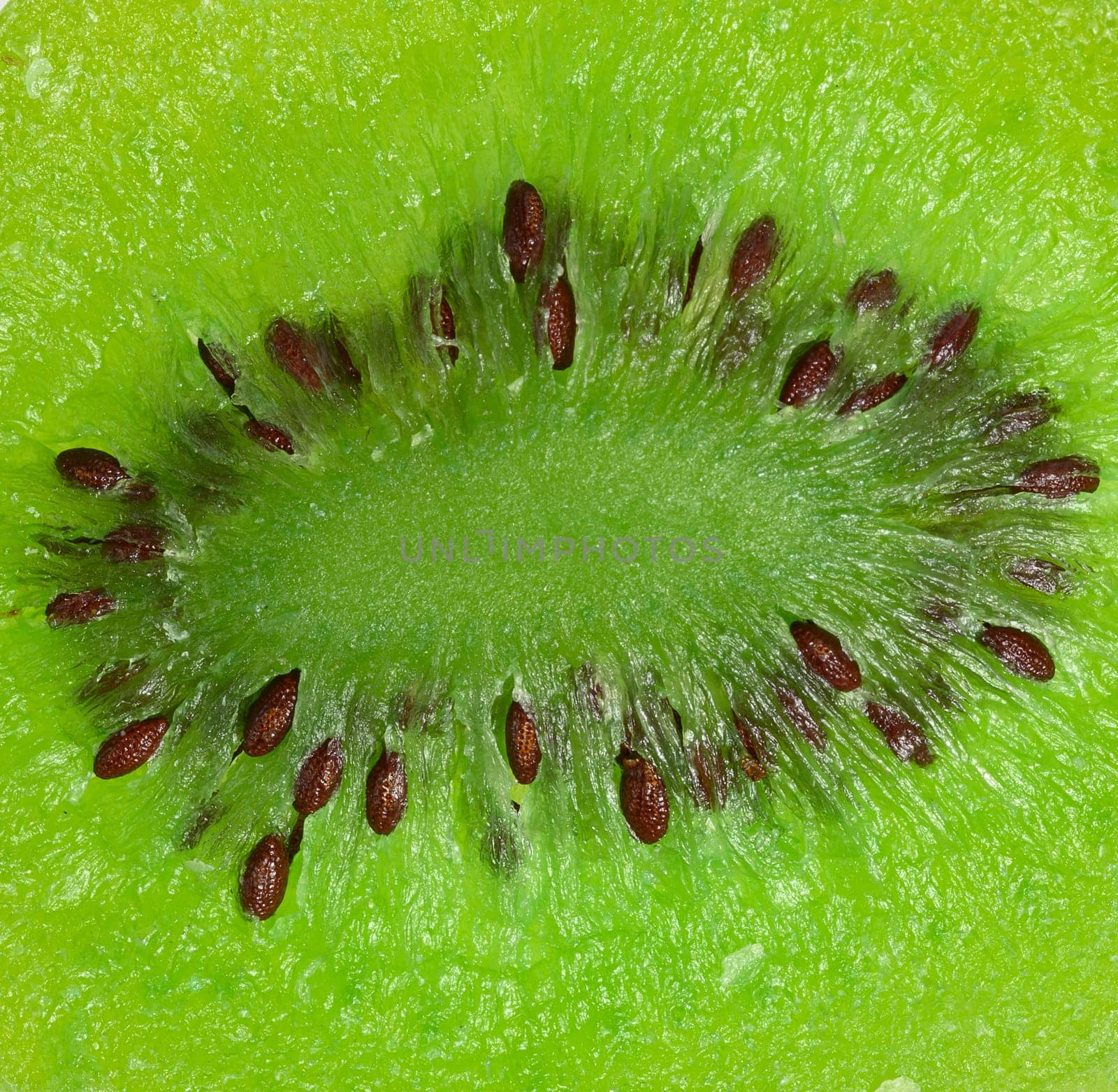 Green dried kiwi texture, full frame