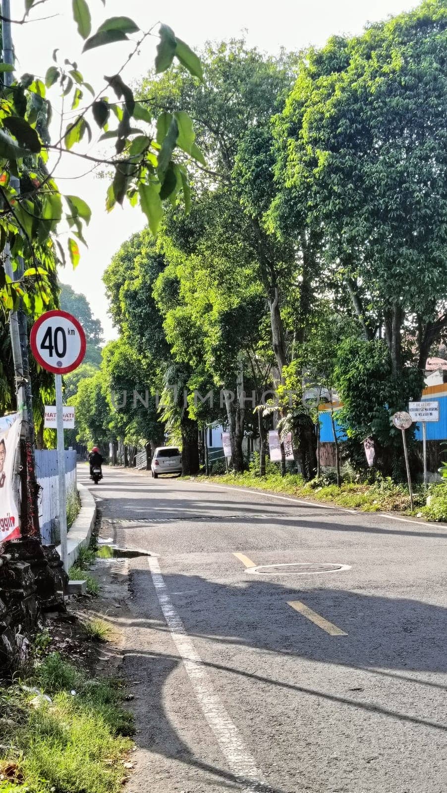 A picturesque rural road lined with lush green trees and a visible speed limit sign. The serene environment offers a peaceful drive and beautiful natural scenery.