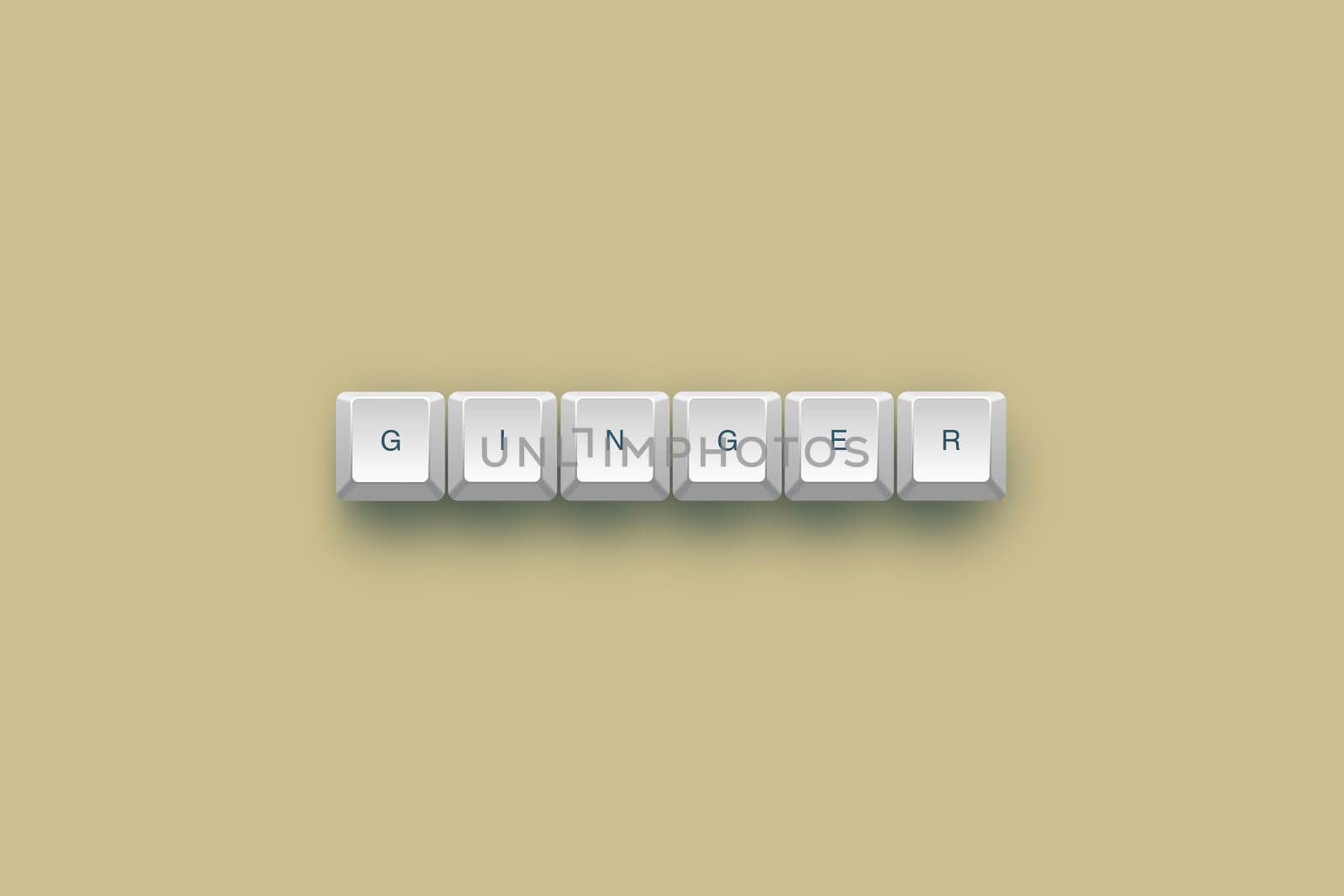 Ginger text on a 3d keyboard button with shadow, 3d Illustration