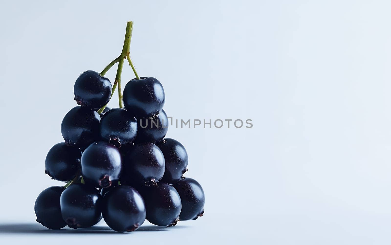 A bunch of black elderberries against a light background, ideal for text placement or design use.