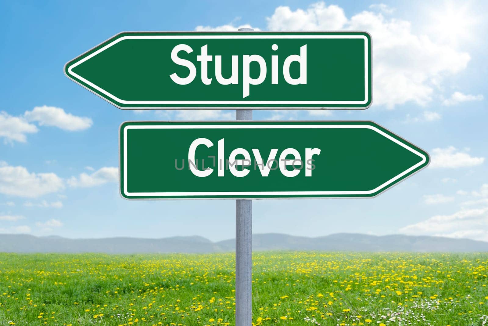 Two direction signs - Stupid or clever