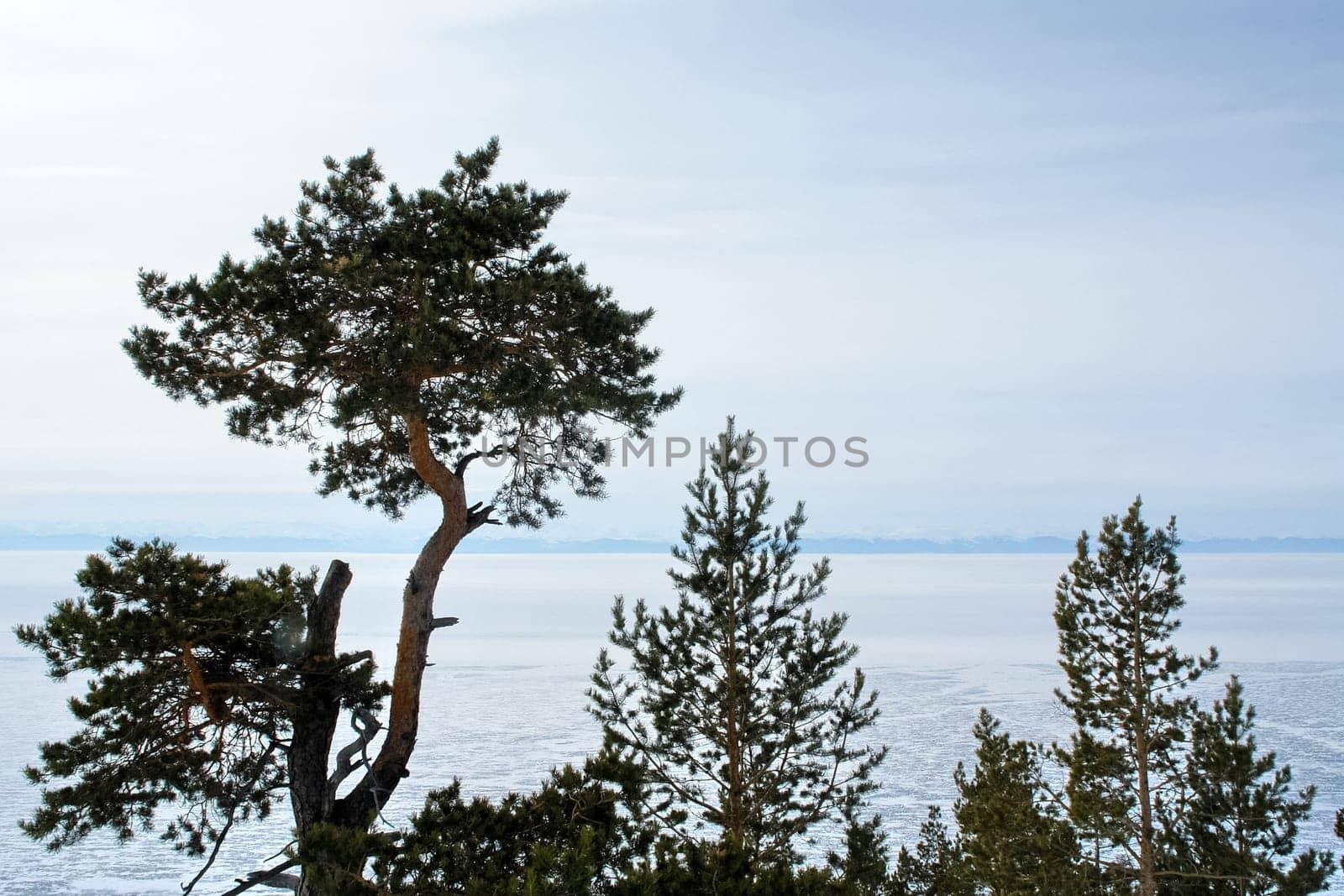 The shore of Lake Baikal in winter. Snow and ice on the baikal.