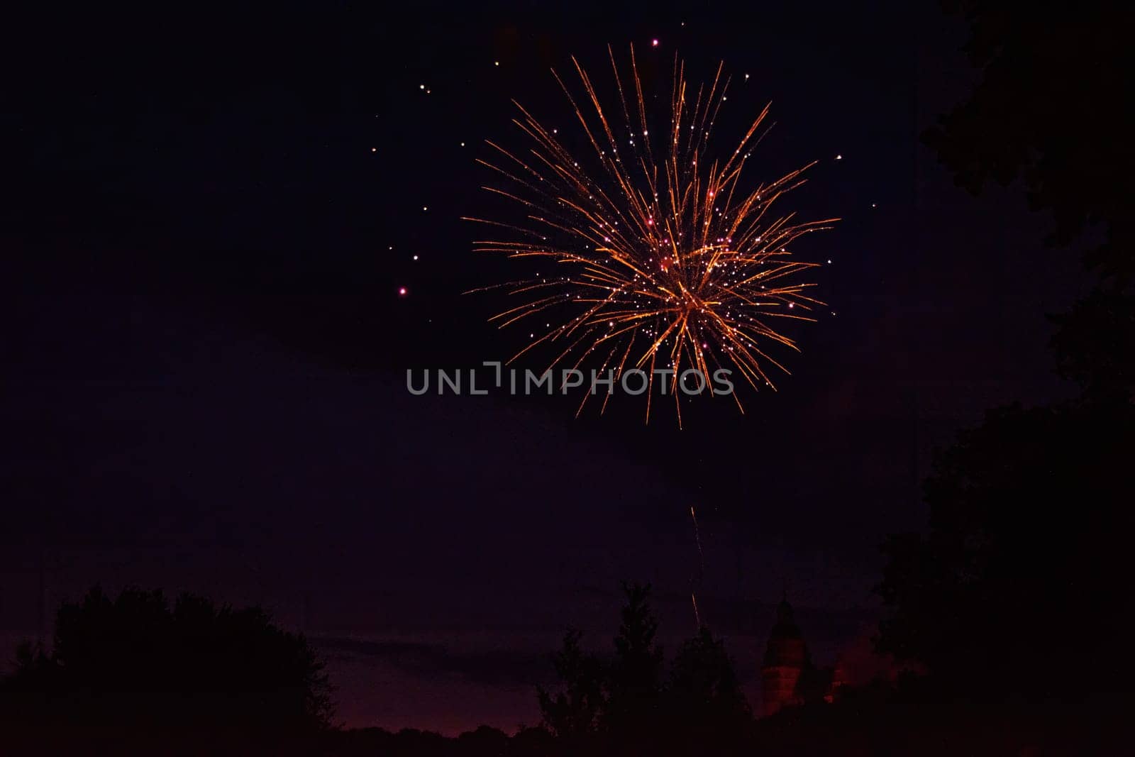 A colorful fireworks in the black night sky with the silhouette of a tree and a castle  in the foreground