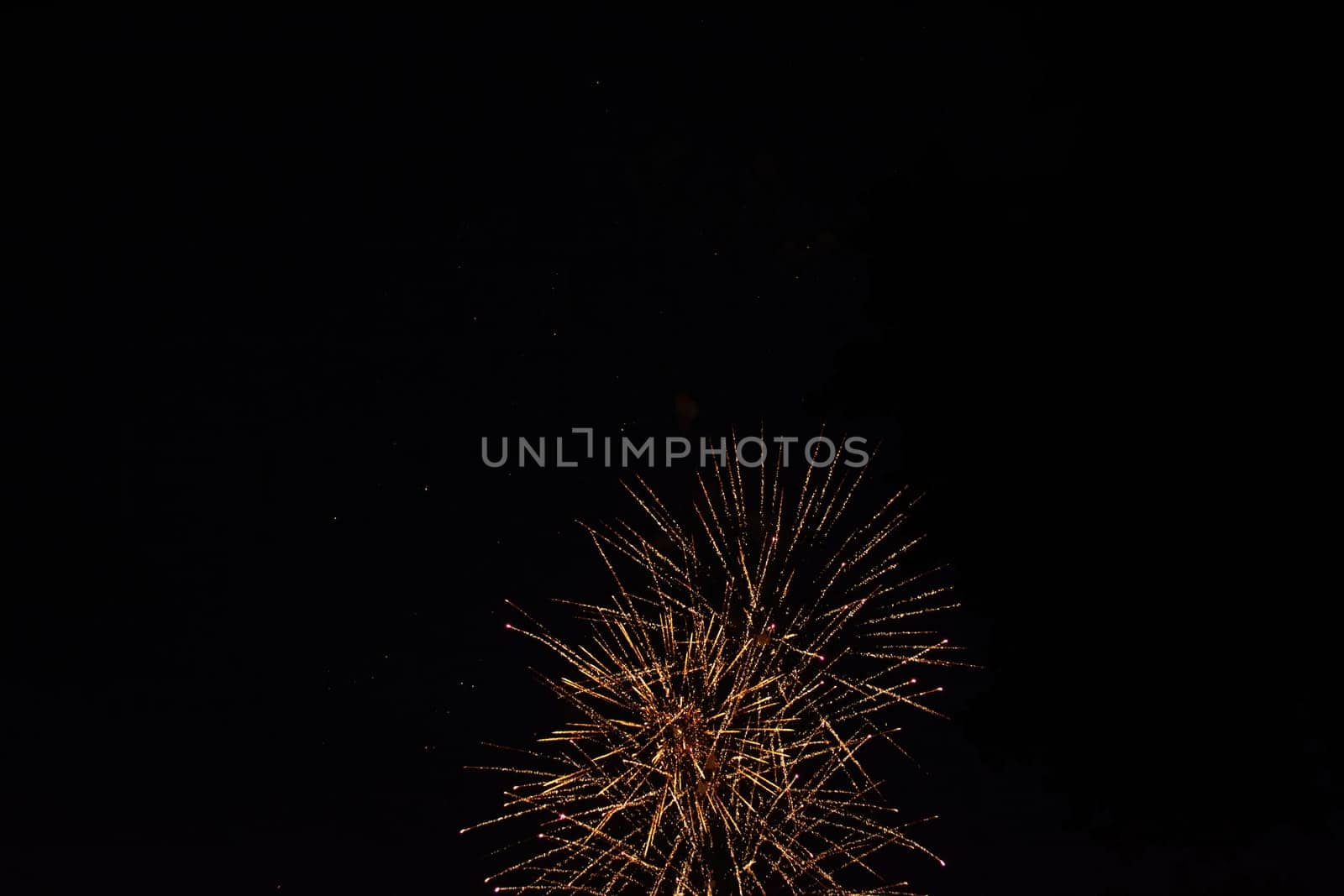 A colorful fireworks in the black night sky