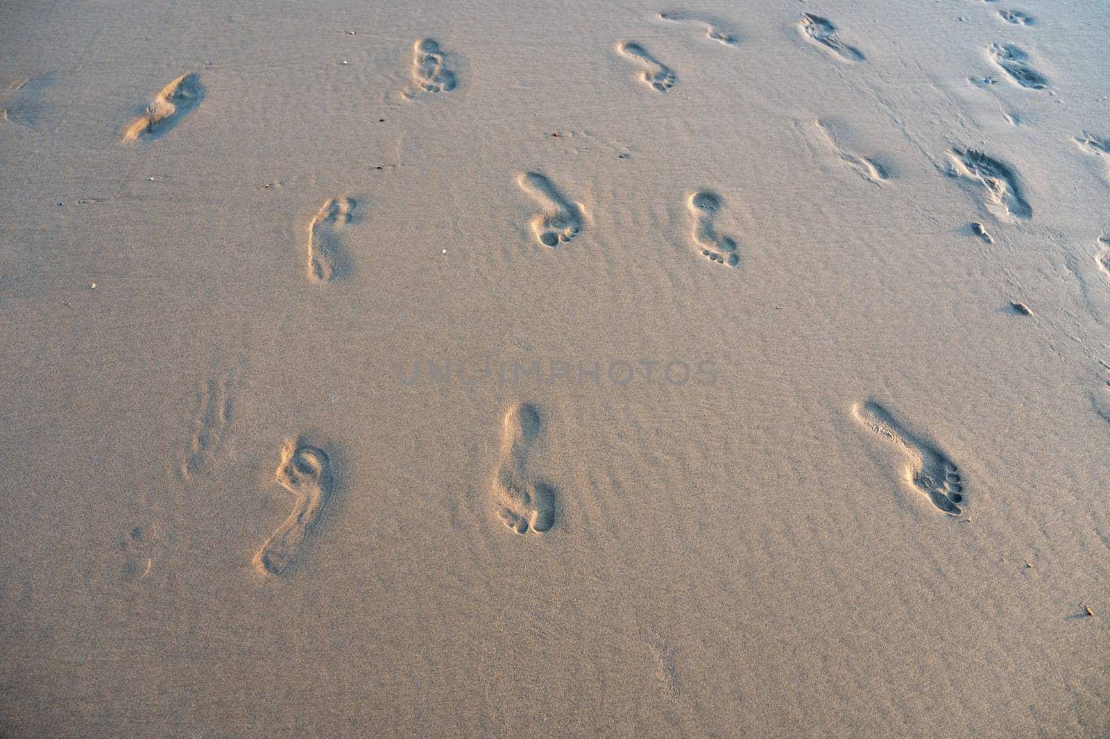 Many footprints in the wet sand by the sea, in the evening light