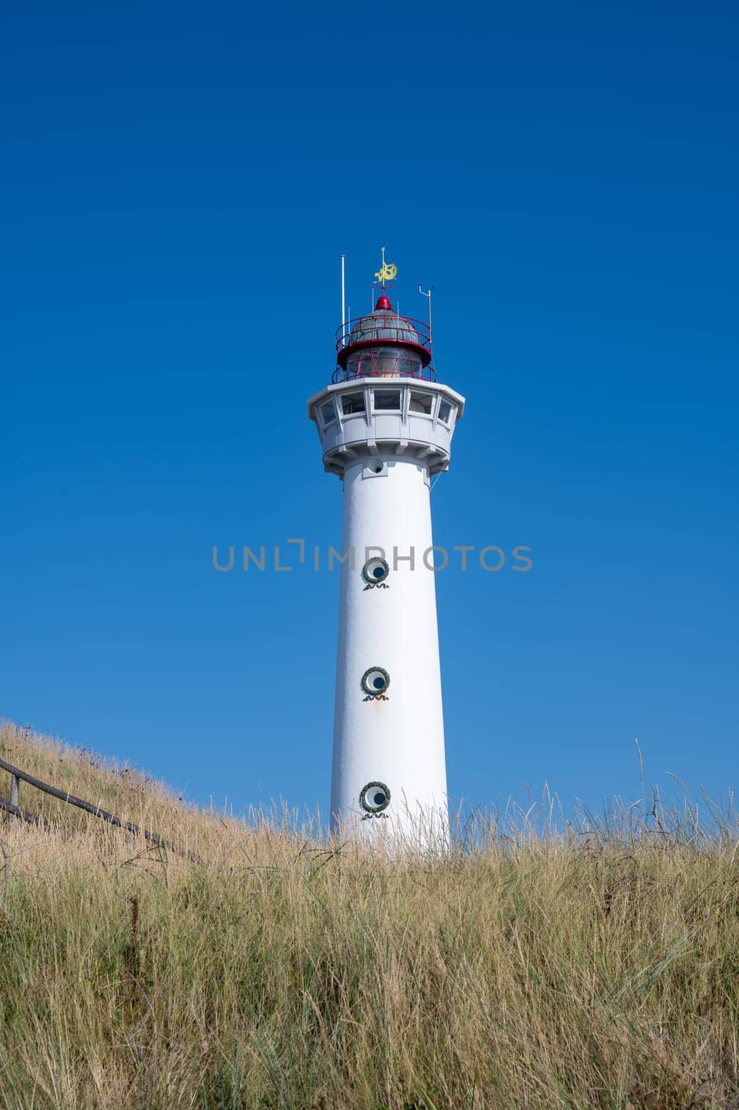 The approx. 28 m high white lighthouse J.C.J. van Speijk in Egmond aan Zee, North Holland, Netherlands, in the sand dunes with beach grass