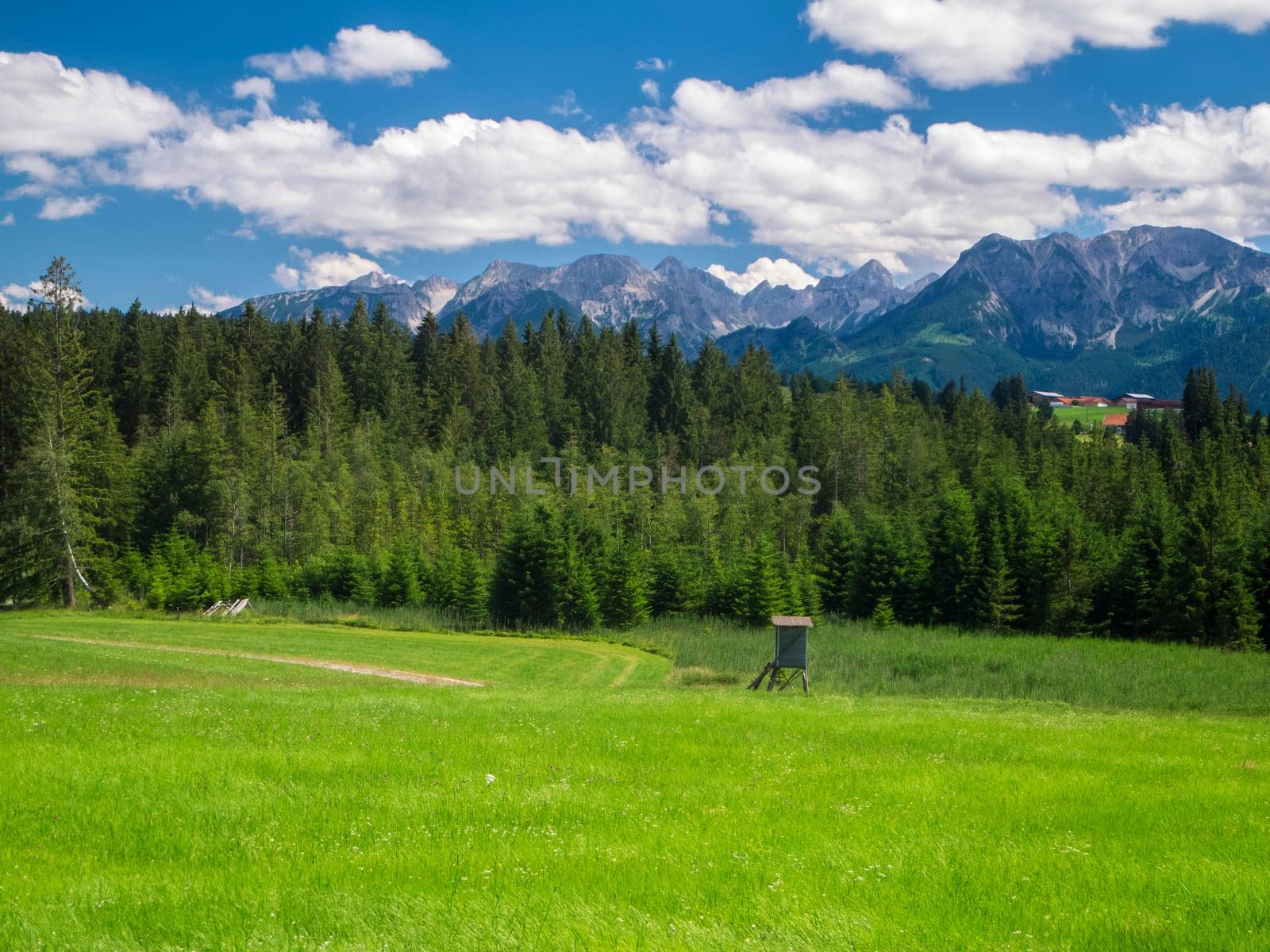 Landscape view in the Bavarian Allgäu over a meadow in the foreground with a forest behind it and the first high alpine foothills in the background in sunny weather and blue sky with white clouds.