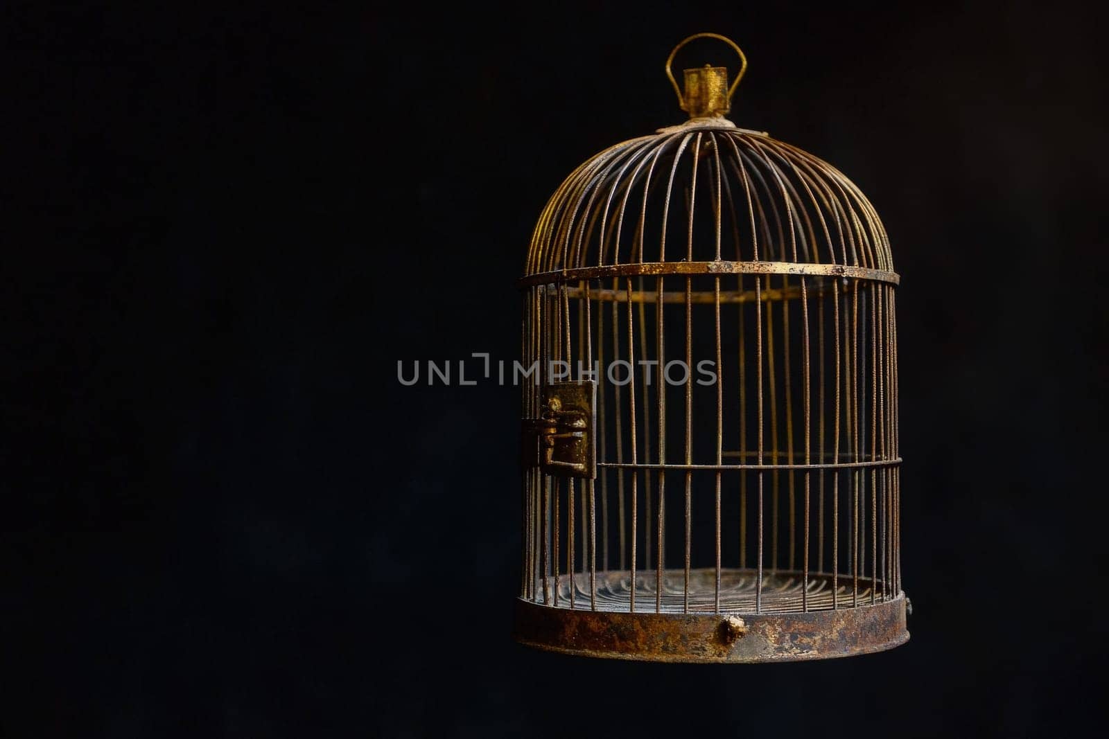The birdcage hangs quietly, its door fully open, suggesting freedom. The metal bars are aged and worn, contrasting with the deep, shadowy background.