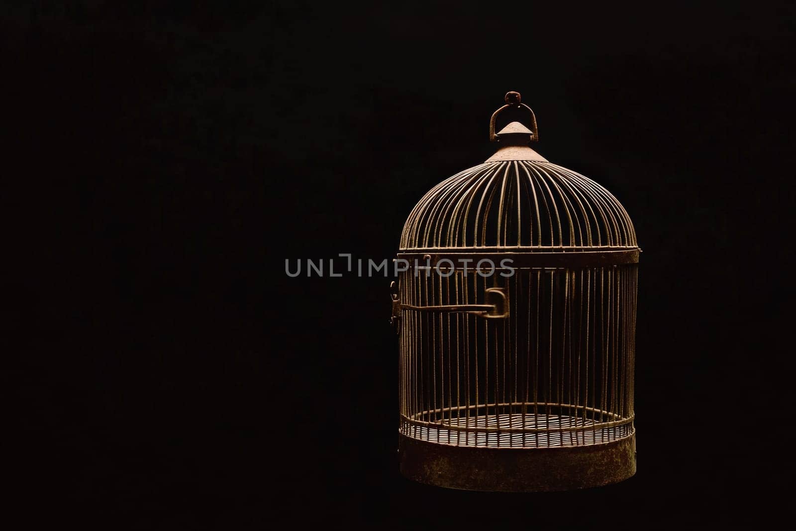 The birdcage stands empty with its door fully open, suggesting a message of freedom and opportunity. Its metallic structure contrasts against the dark background, enhancing its significance.