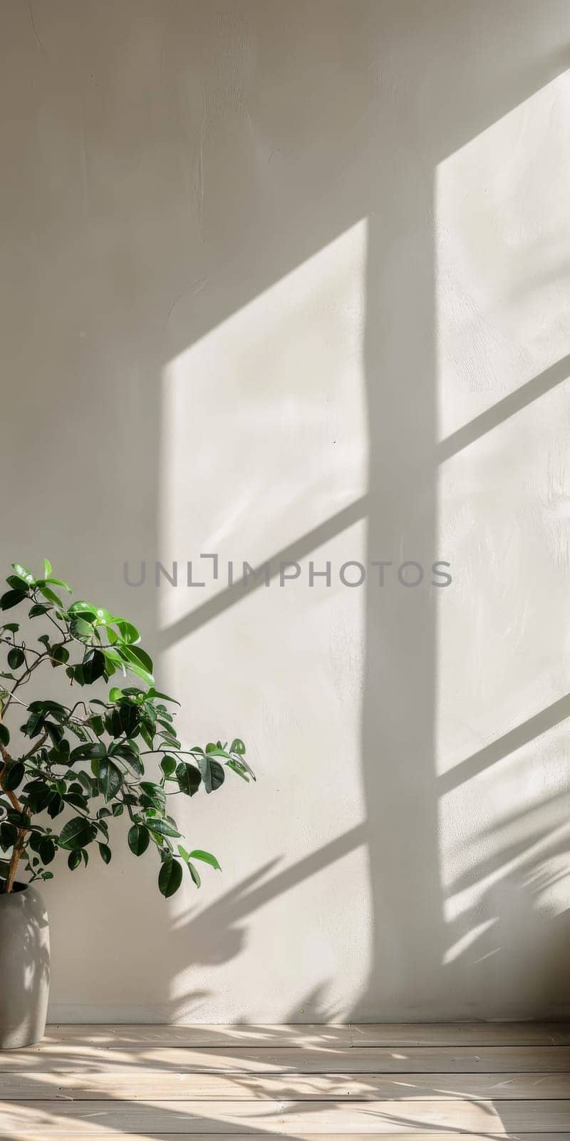 Blank space in marketing composition for text overlay.