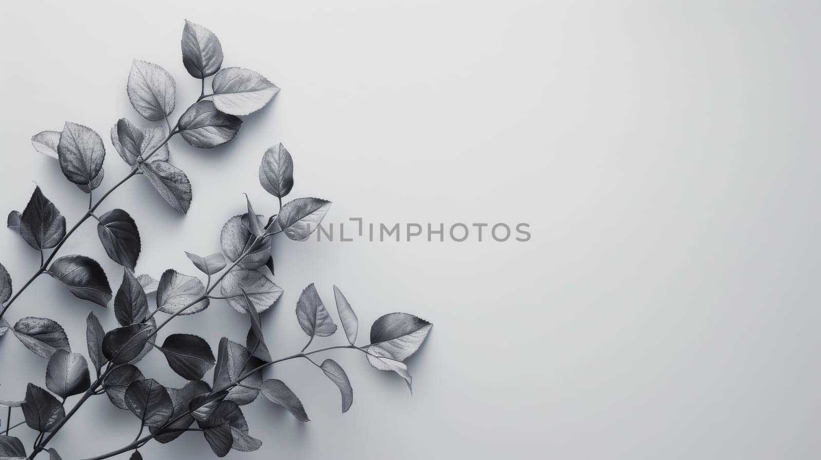 Simple, stylish background with generous blank area for copy.