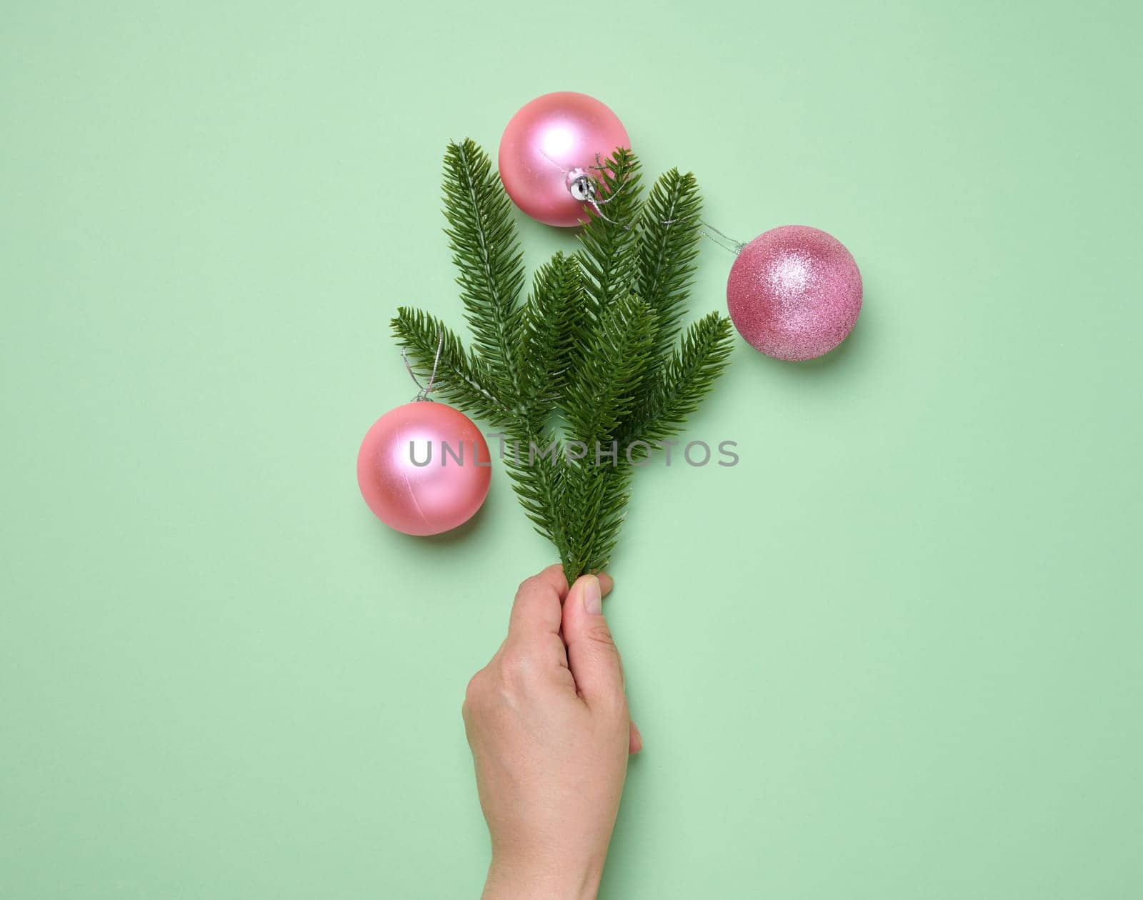 Female hand holding shiny pink balls and green spruce branches on green background, Christmas background