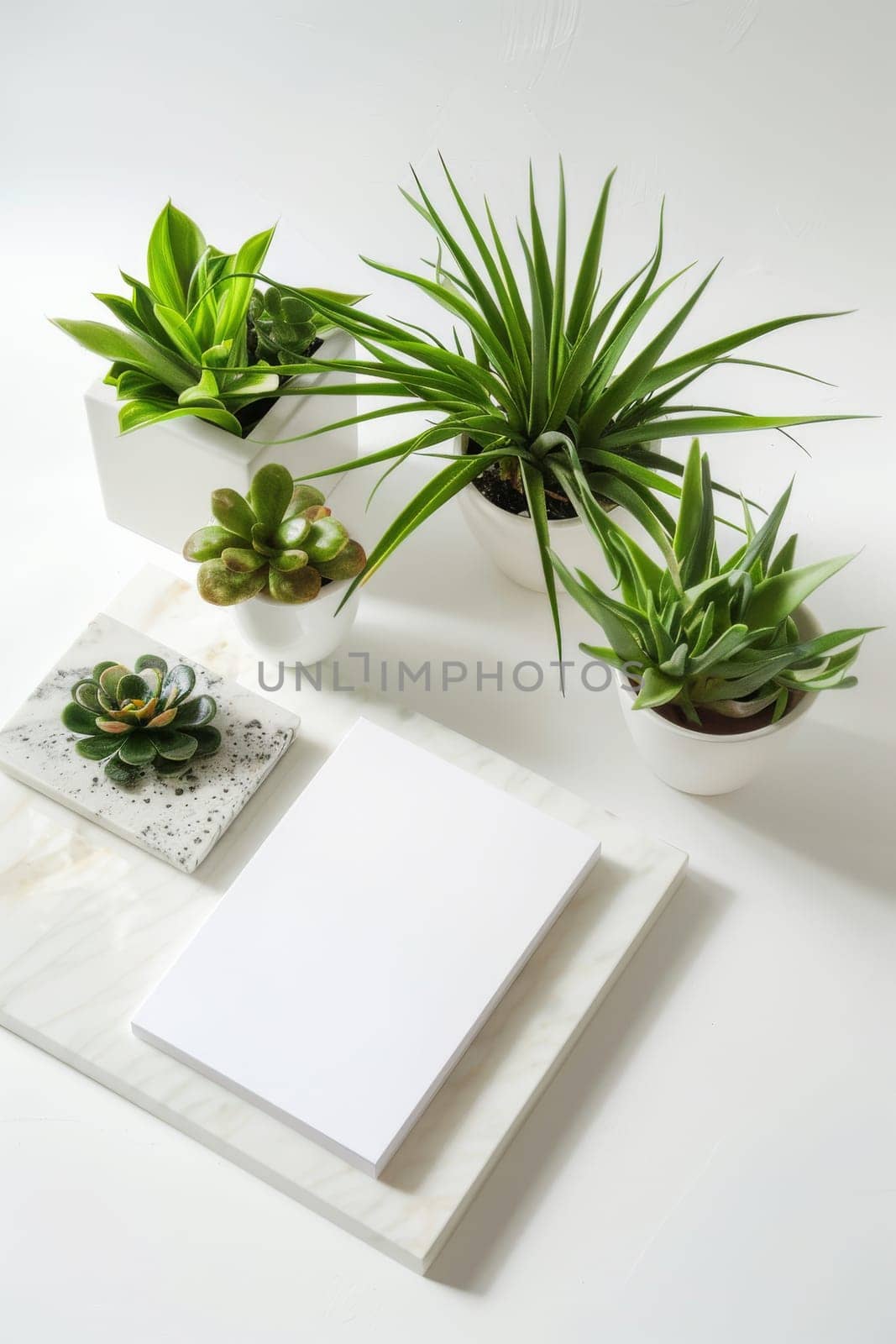 Fresh and bright mockup presentation against a pristine white backdrop.