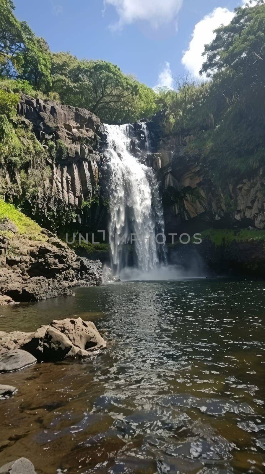 The serene beauty of a cascading waterfall in a dense jungle setting, where nature's music and lush foliage create a tranquil haven