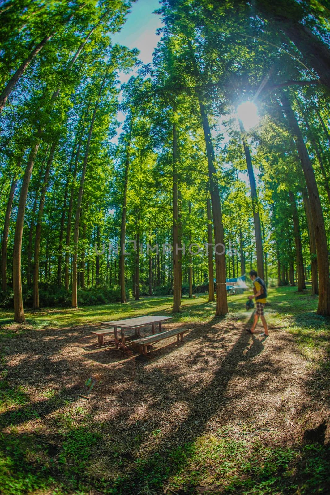Metasekoya Forest (Mizumoto Park). Shooting Location: Katsushika-ku, Tokyo
