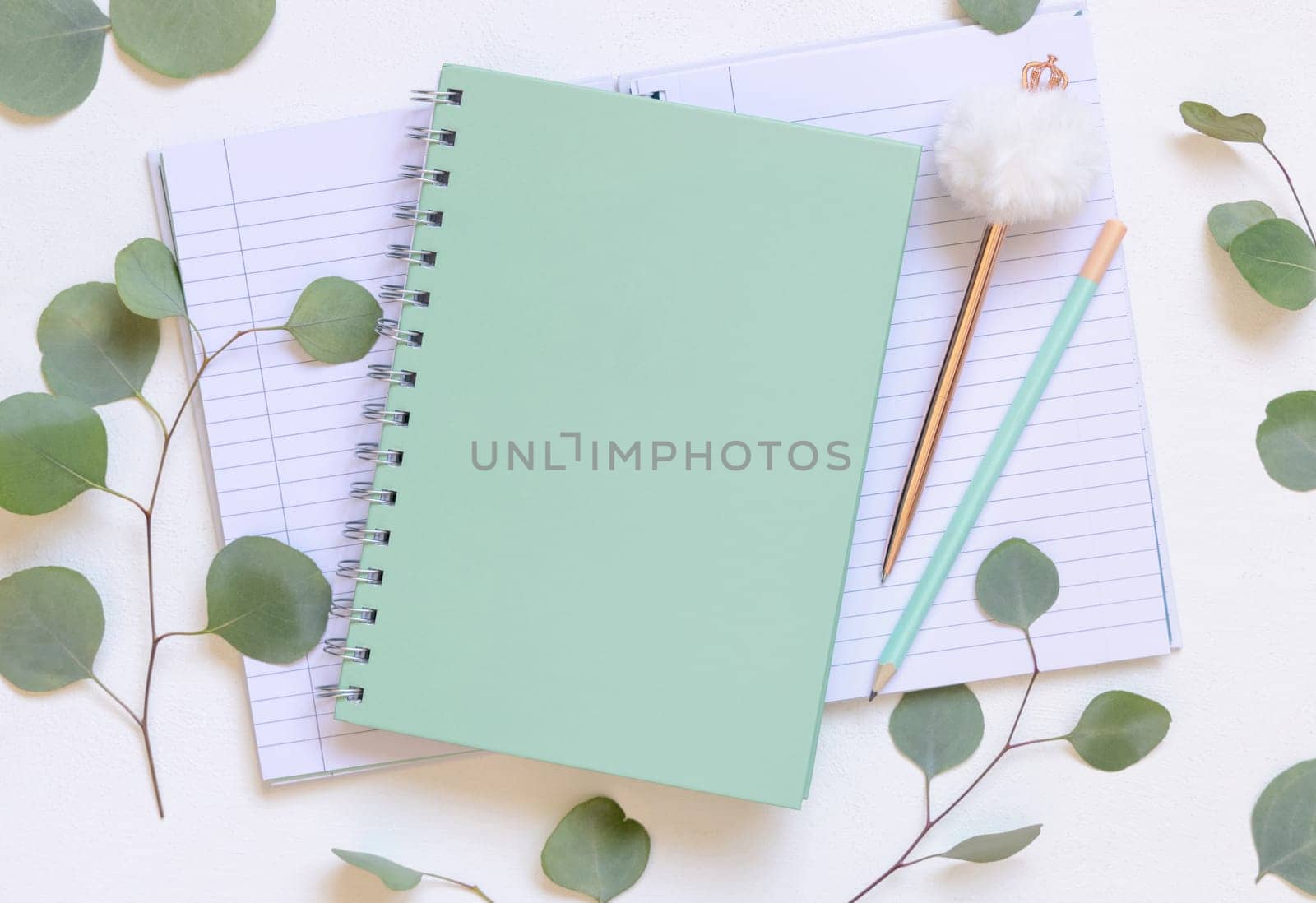 Light green spiral notebook on a white table near green eucalyptus leaves and pen top view, Blank school textbook mockup