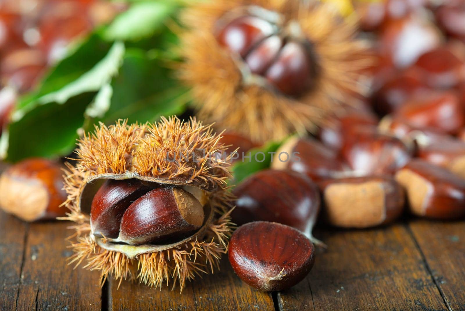 Chestnut with leaves on a wooden background