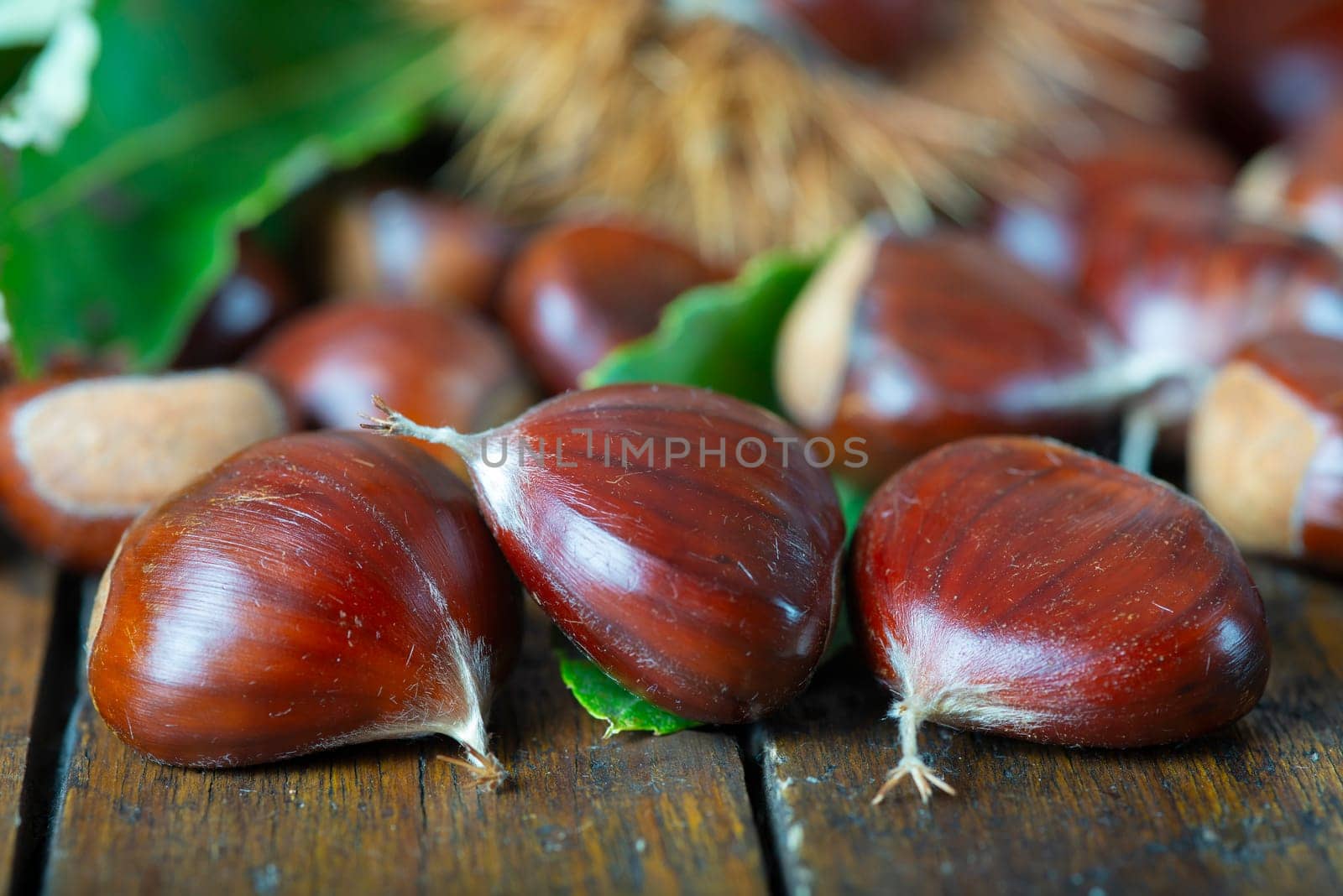 Chestnut with leaves on a wooden background