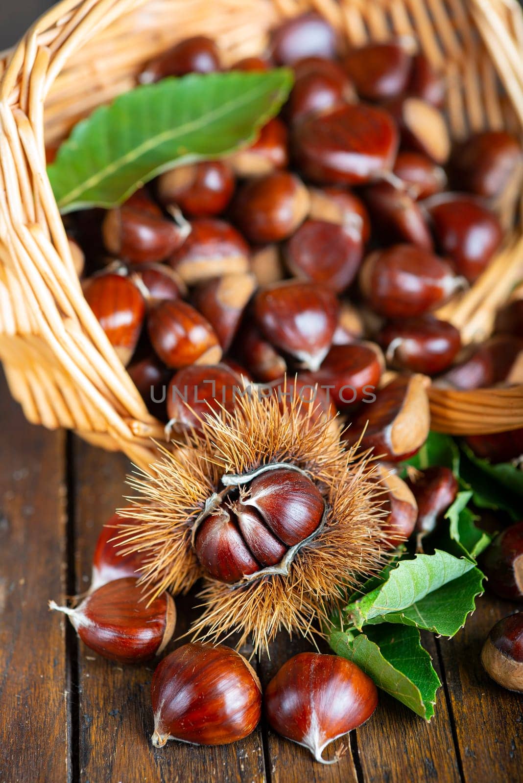Chestnut with leaves on a wooden background