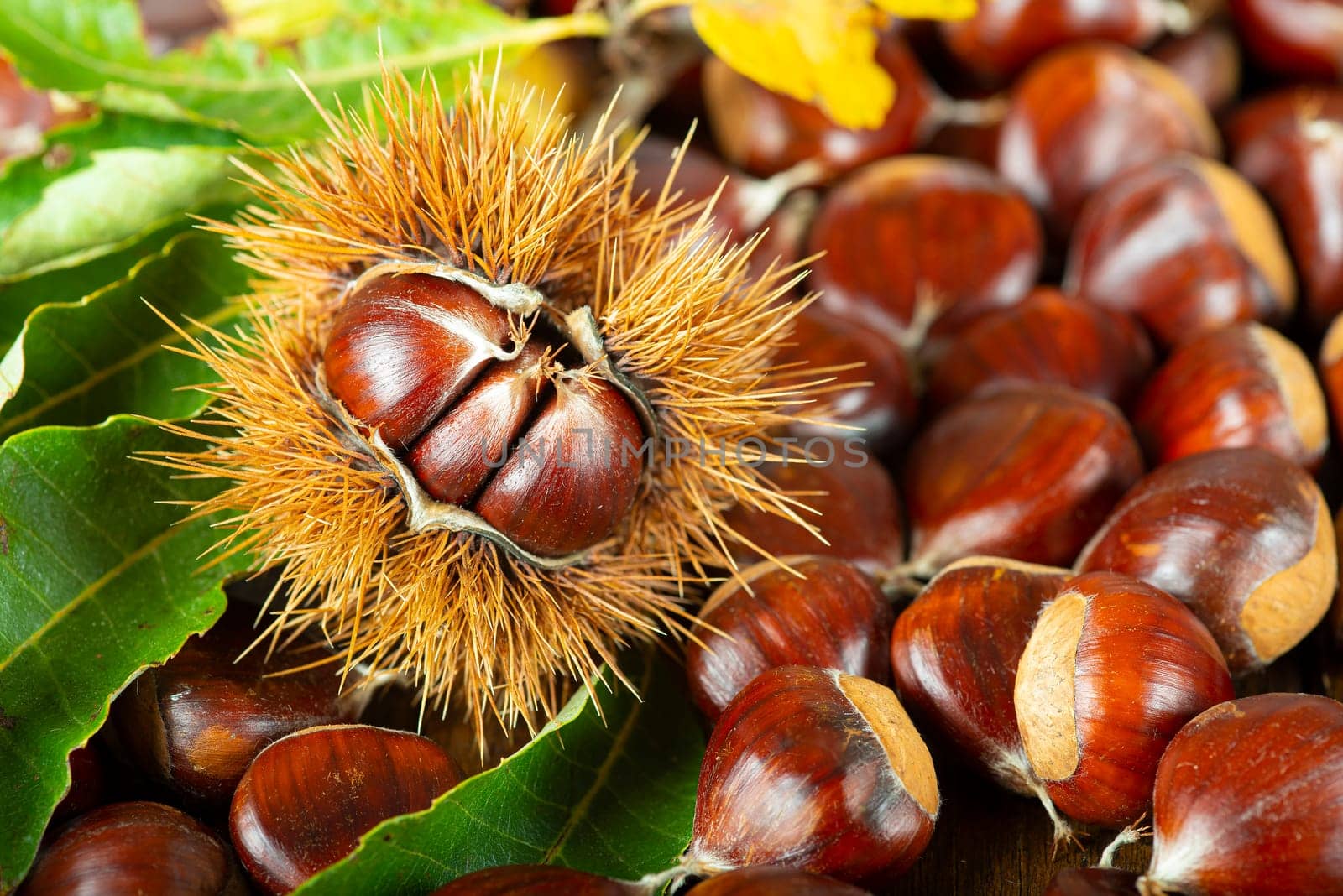 Chestnut with leaves on a wooden background