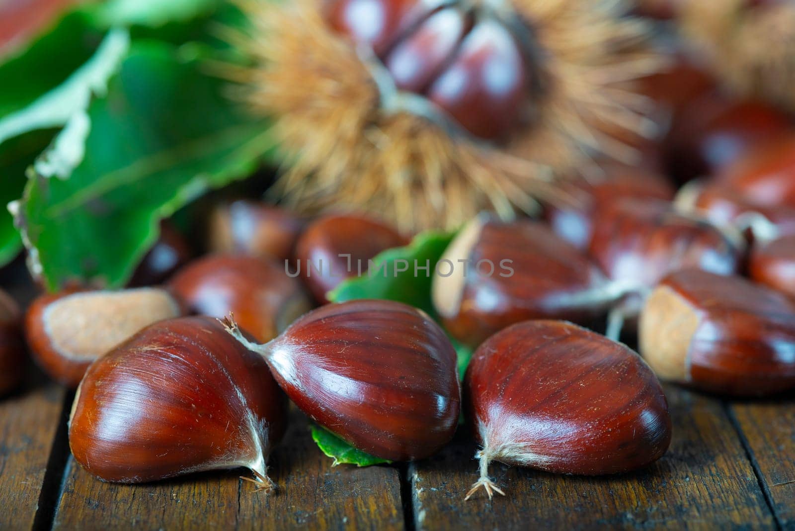 Chestnut with leaves on a wooden background