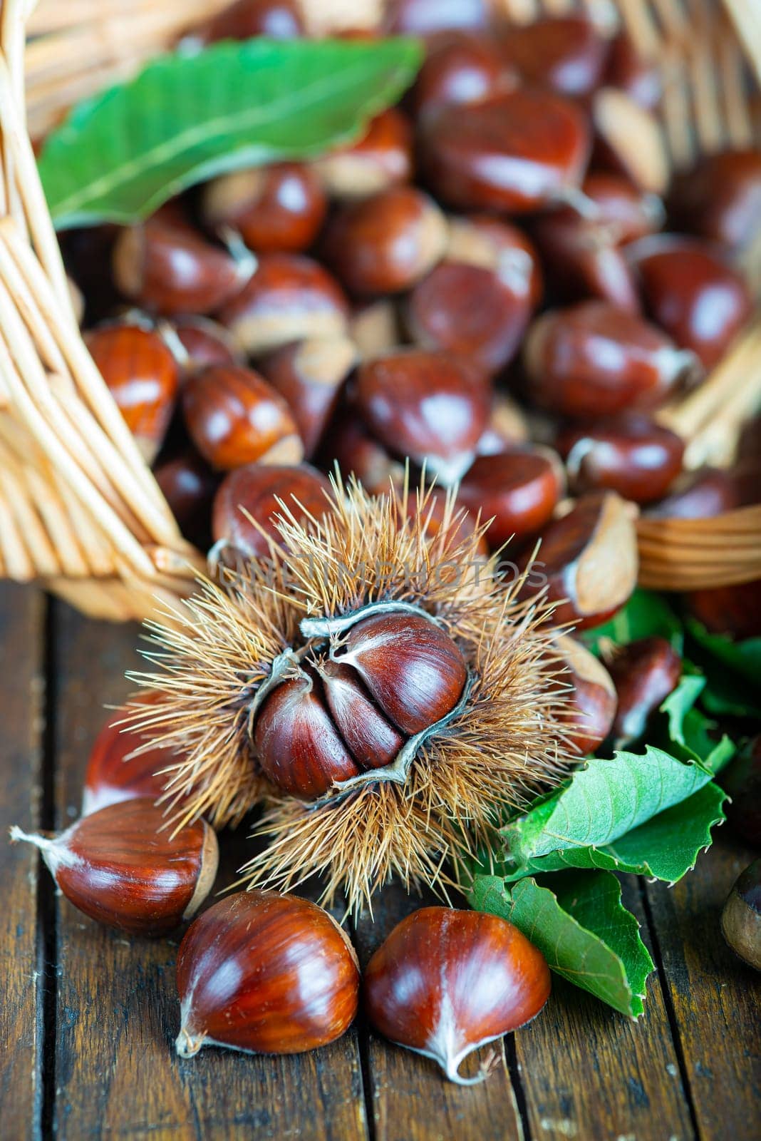 Chestnut with leaves on a wooden background