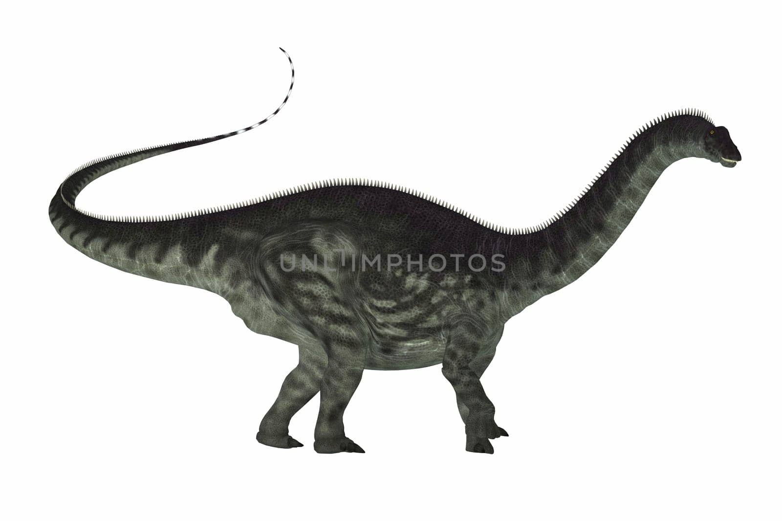 Apatosaurus was a herbivorous sauropod dinosaur that lived in North America during the Jurassic Period.