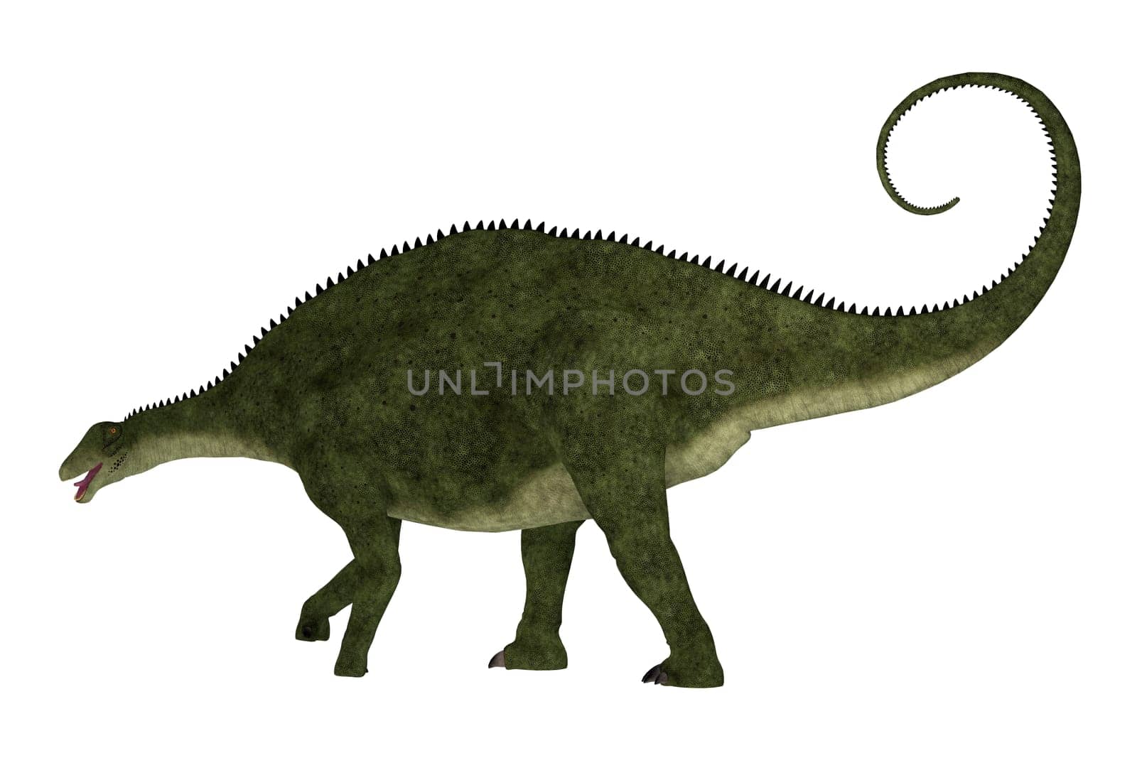Brachytrachelopan was a sauropod herbivorous dinosaur that lived in Argentina during the Jurassic Period.