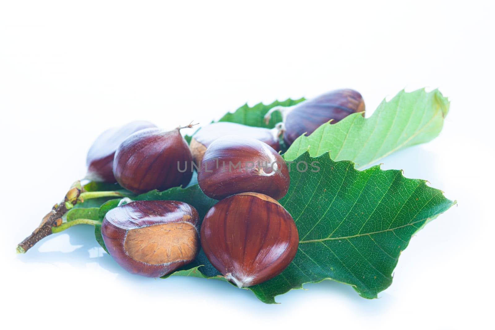 Chestnuts with leaves and burs isolated on a white background