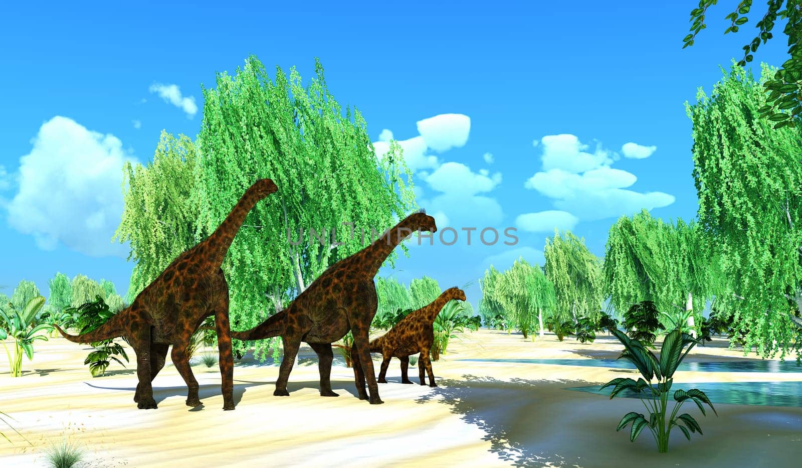 Atlasaurus was a large herbivorous dinosaur that lived in the Jurassic Period of Morocco, North Africa. Two Atlasaurus dinosaurs escort a juvenile to a pond.