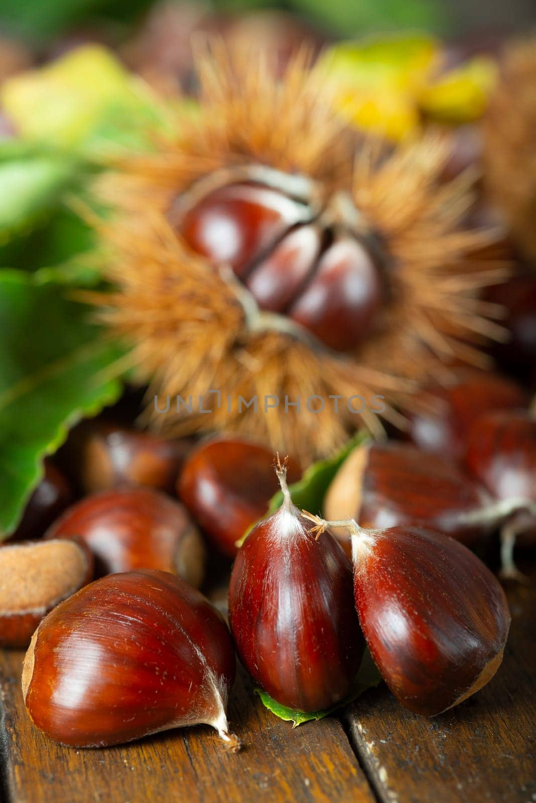 Chestnut with leaves on a wooden background