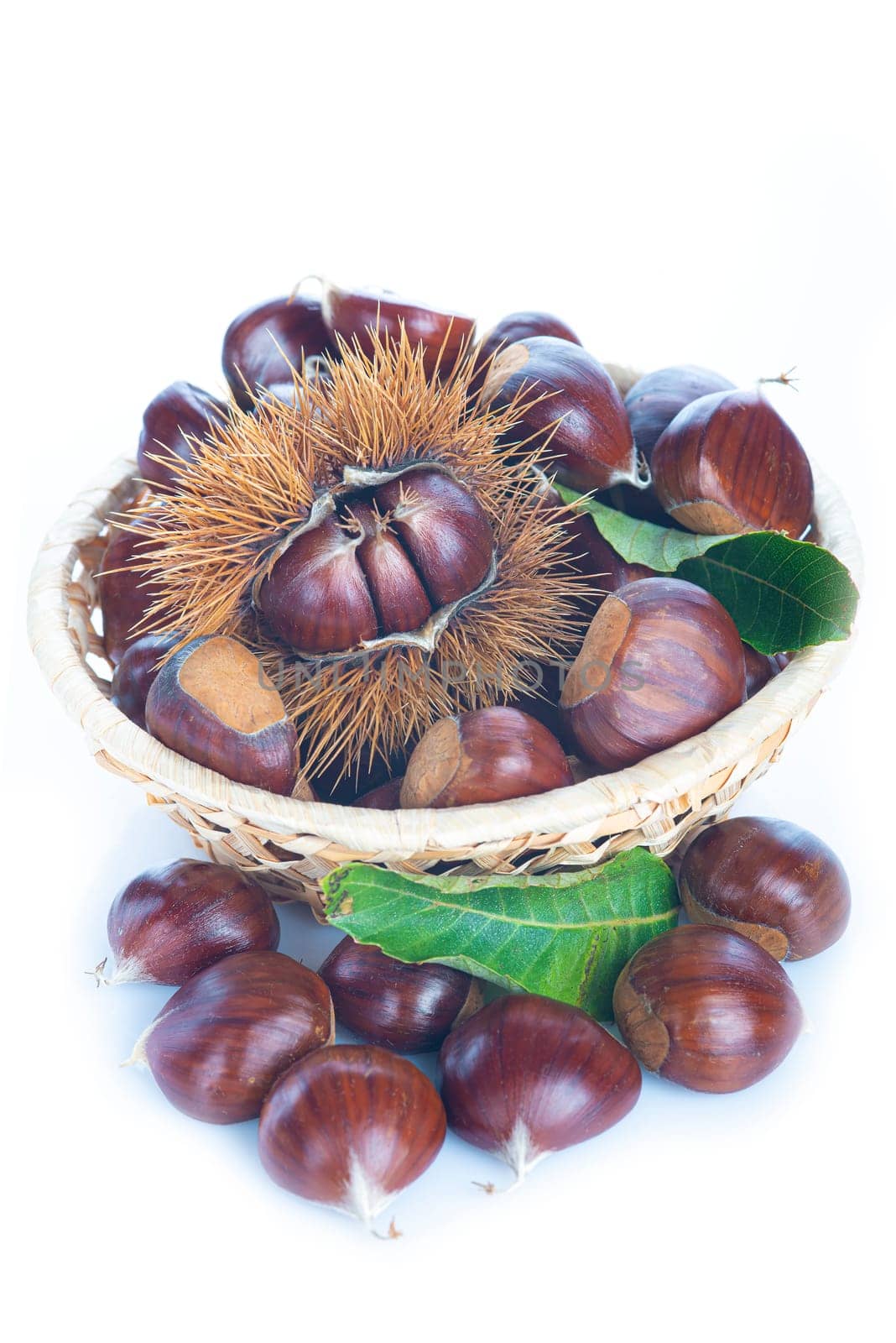Chestnuts with leaves and burs isolated on a white background