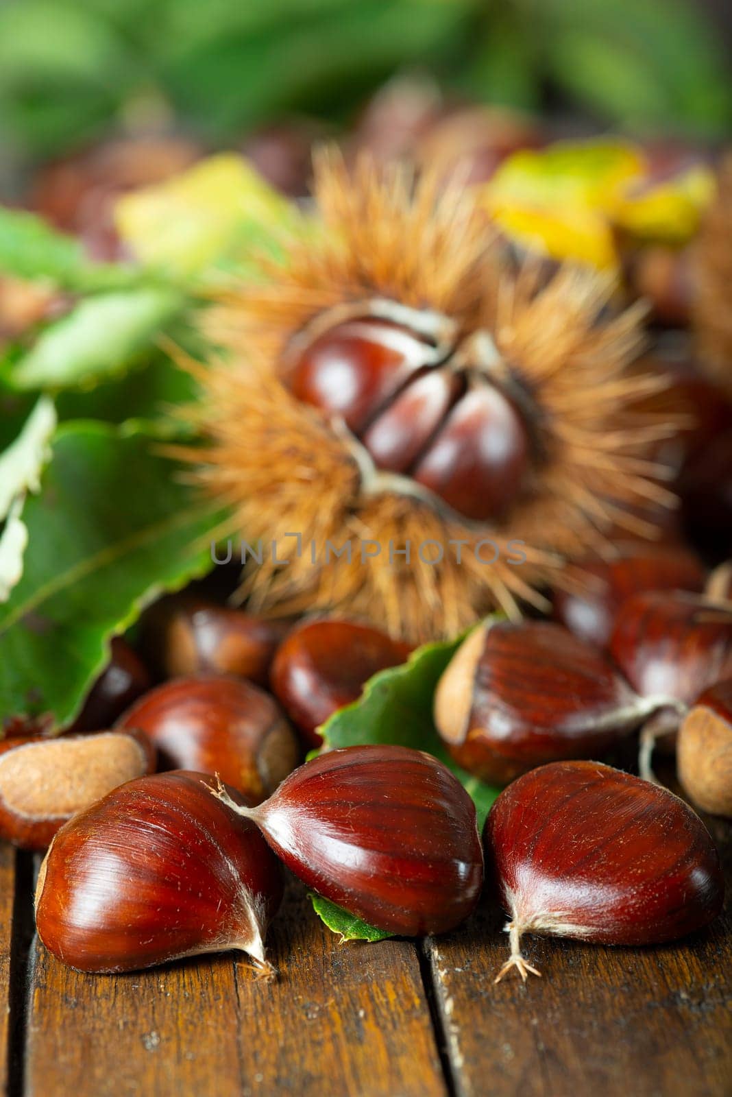 Chestnut with leaves on a wooden background