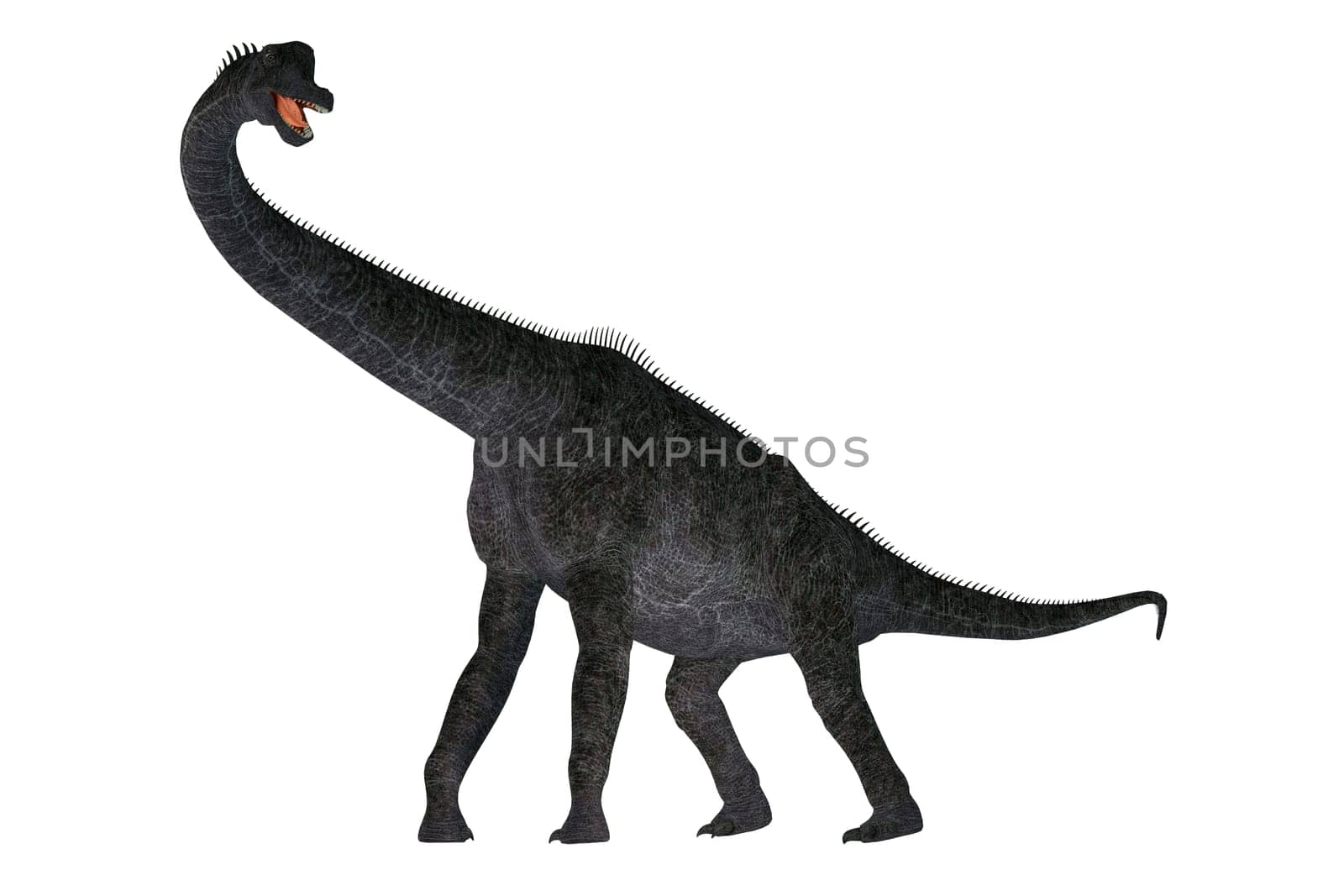 Brachiosaurus was a herbivorous sauropod dinosaur that lived in North America during the Jurassic Period.