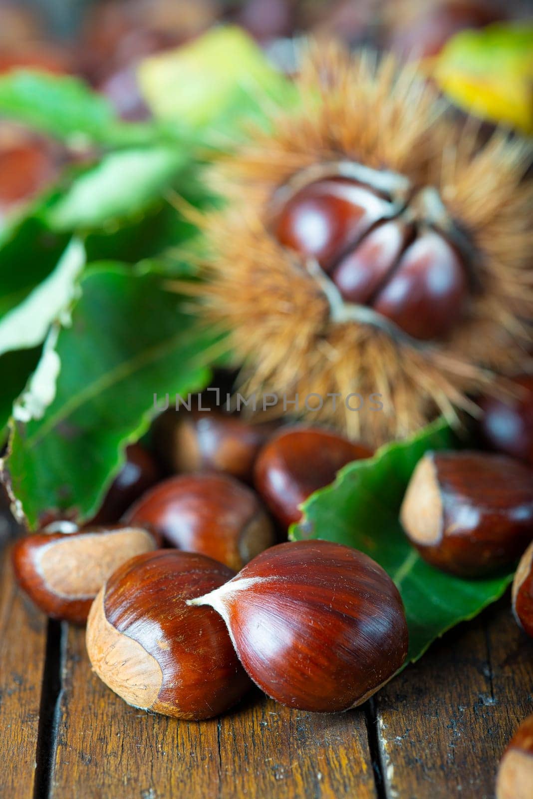 Chestnut with leaves on a wooden background