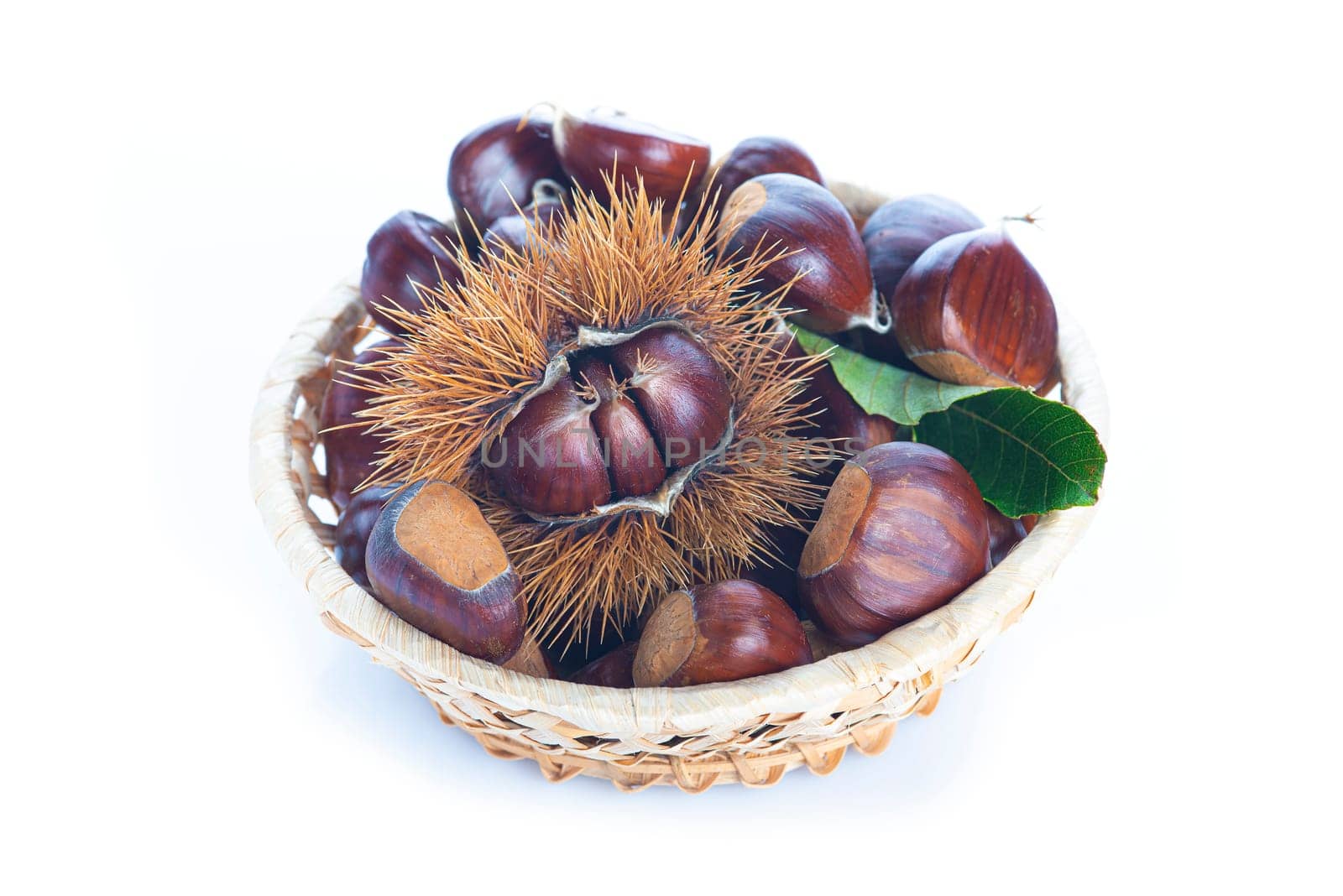 Chestnuts with leaves and burs isolated on a white background