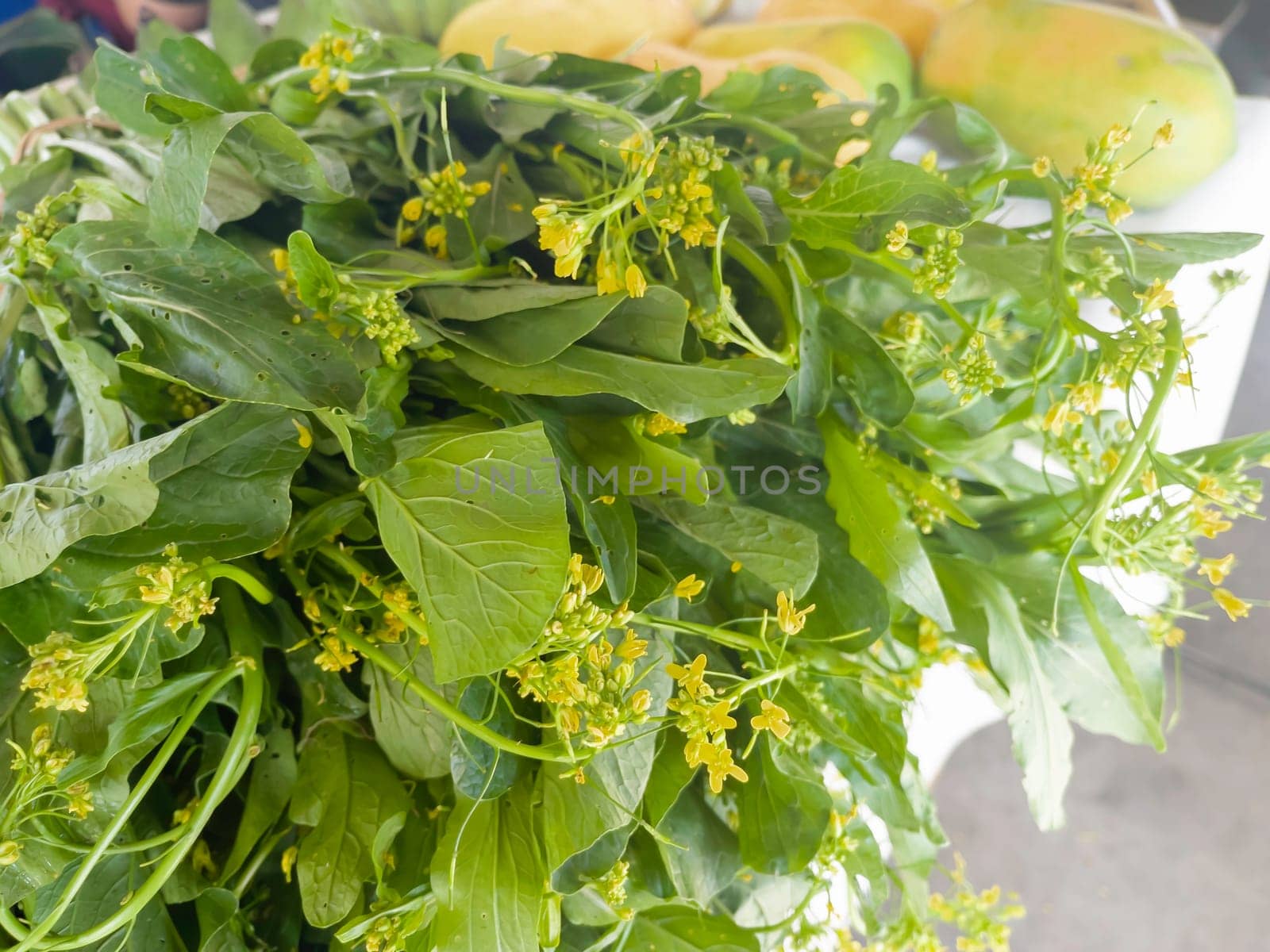 Fresh organic vegetables at local farmers market, stock photo