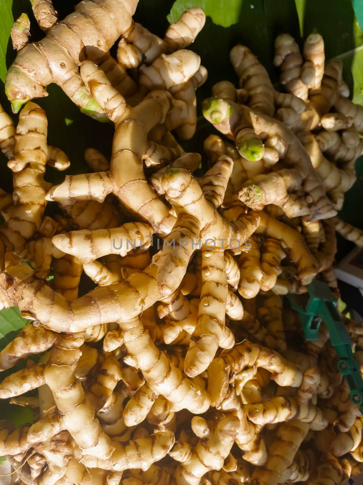 Fresh organic vegetables at local farmers market, stock photo