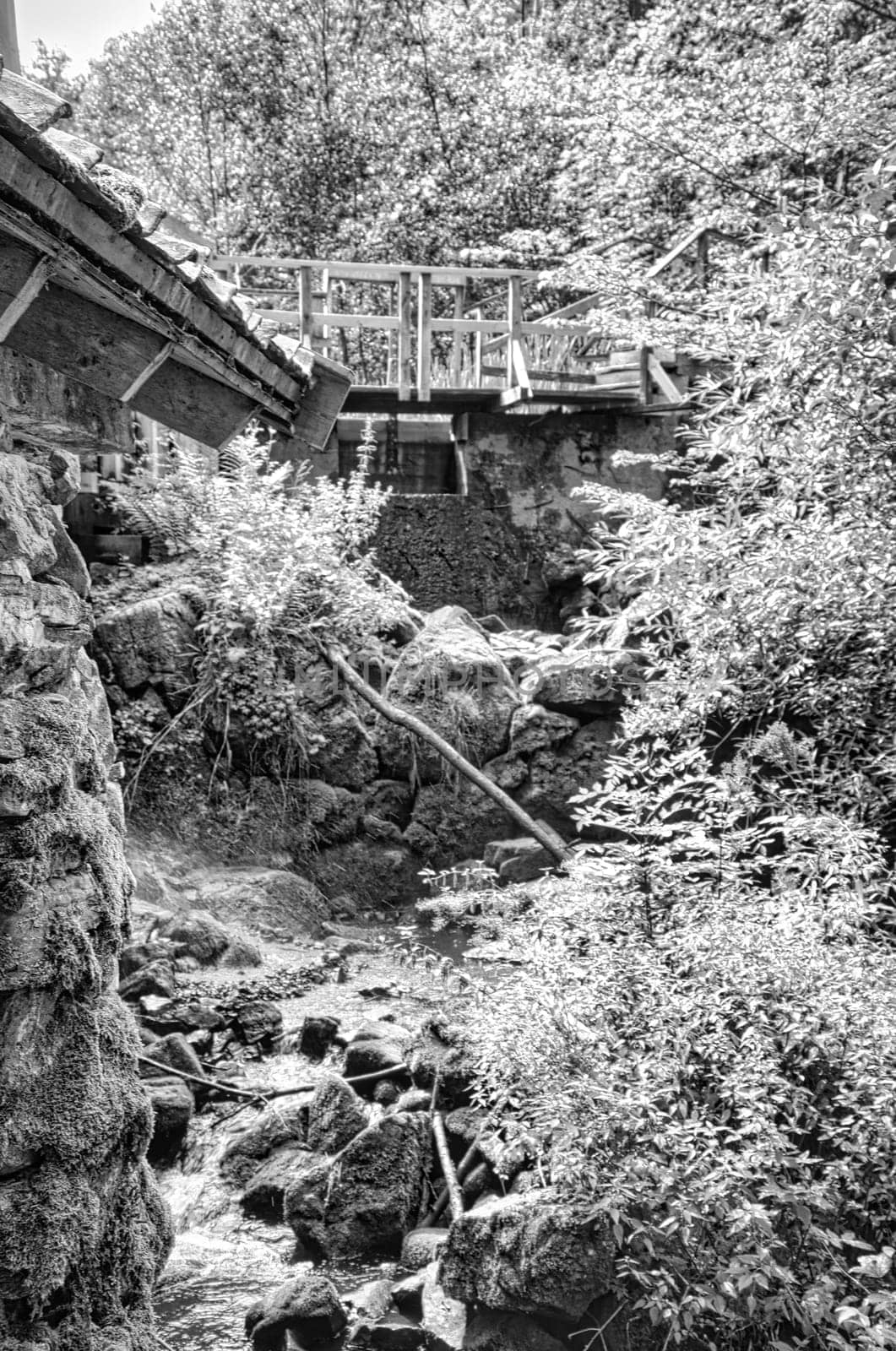 An idyllic stream with moss-covered stones and lush vegetation. In the background is a wooden bridge that harmoniously complements the scene