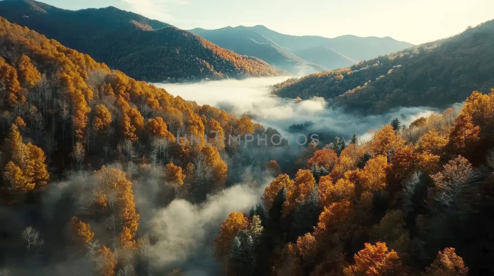 sunlight casting over foggy mountains and an autumn forest. AI generative.