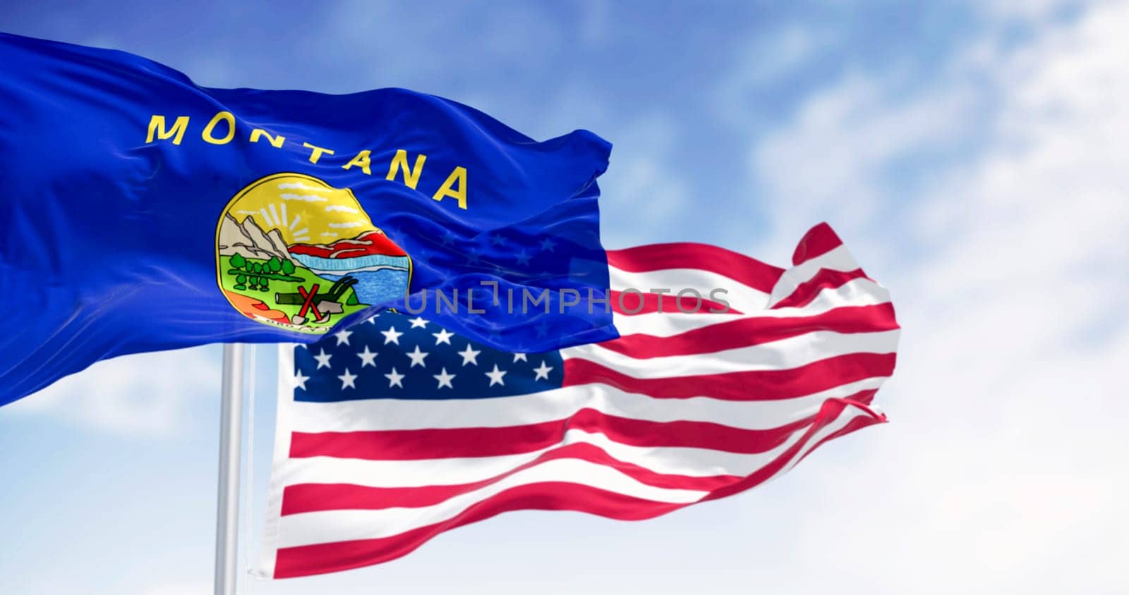 Montana state flags waving in the wind with the American flag on a clear day. US state flag. Patriotism and national pride. Seamless 3d render animation. Slow motion loop. Selective focus