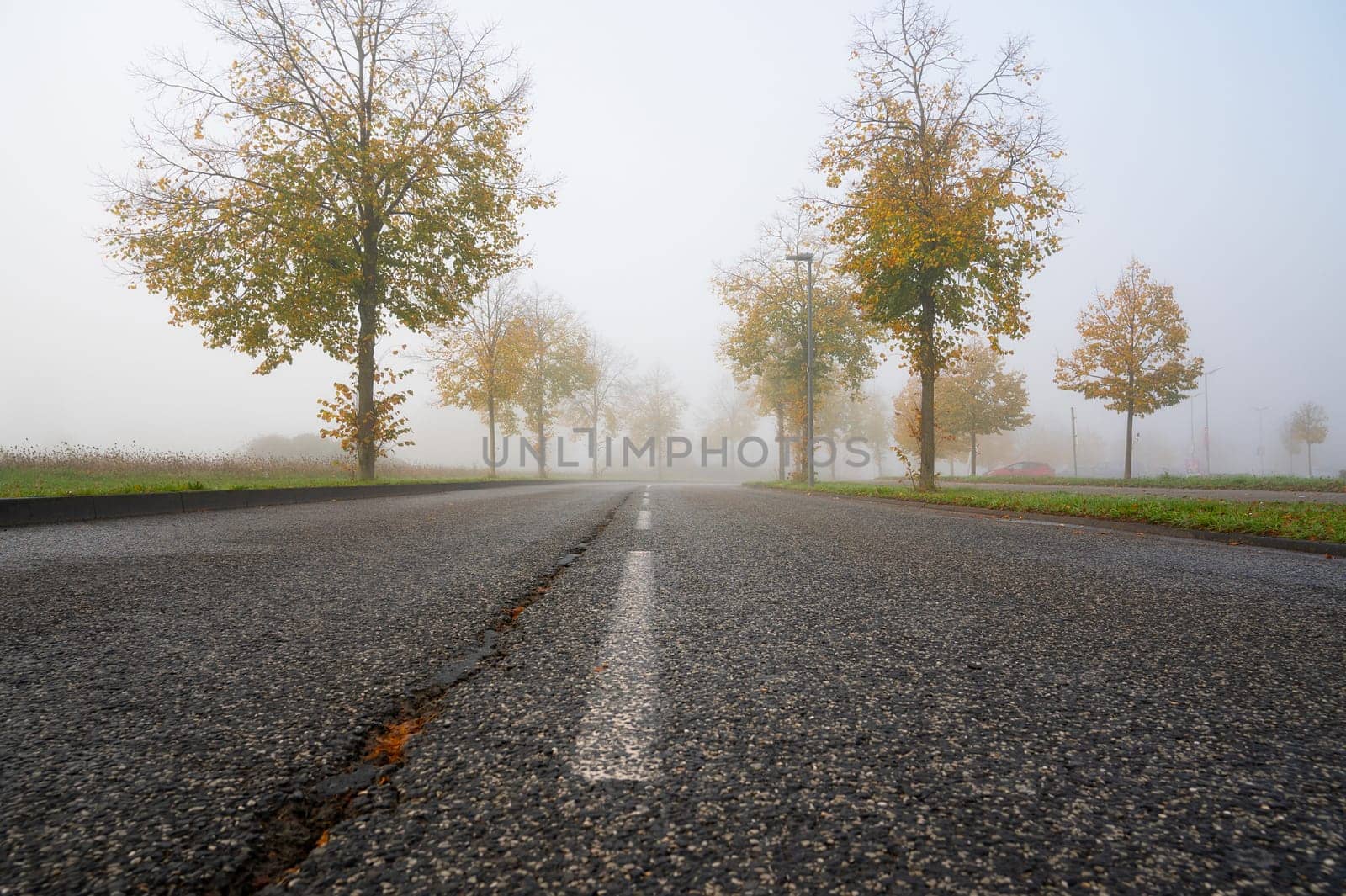 Foggy road, rain, moisture, fog on an autumn morning, low visibility, slippery street, overcast weather