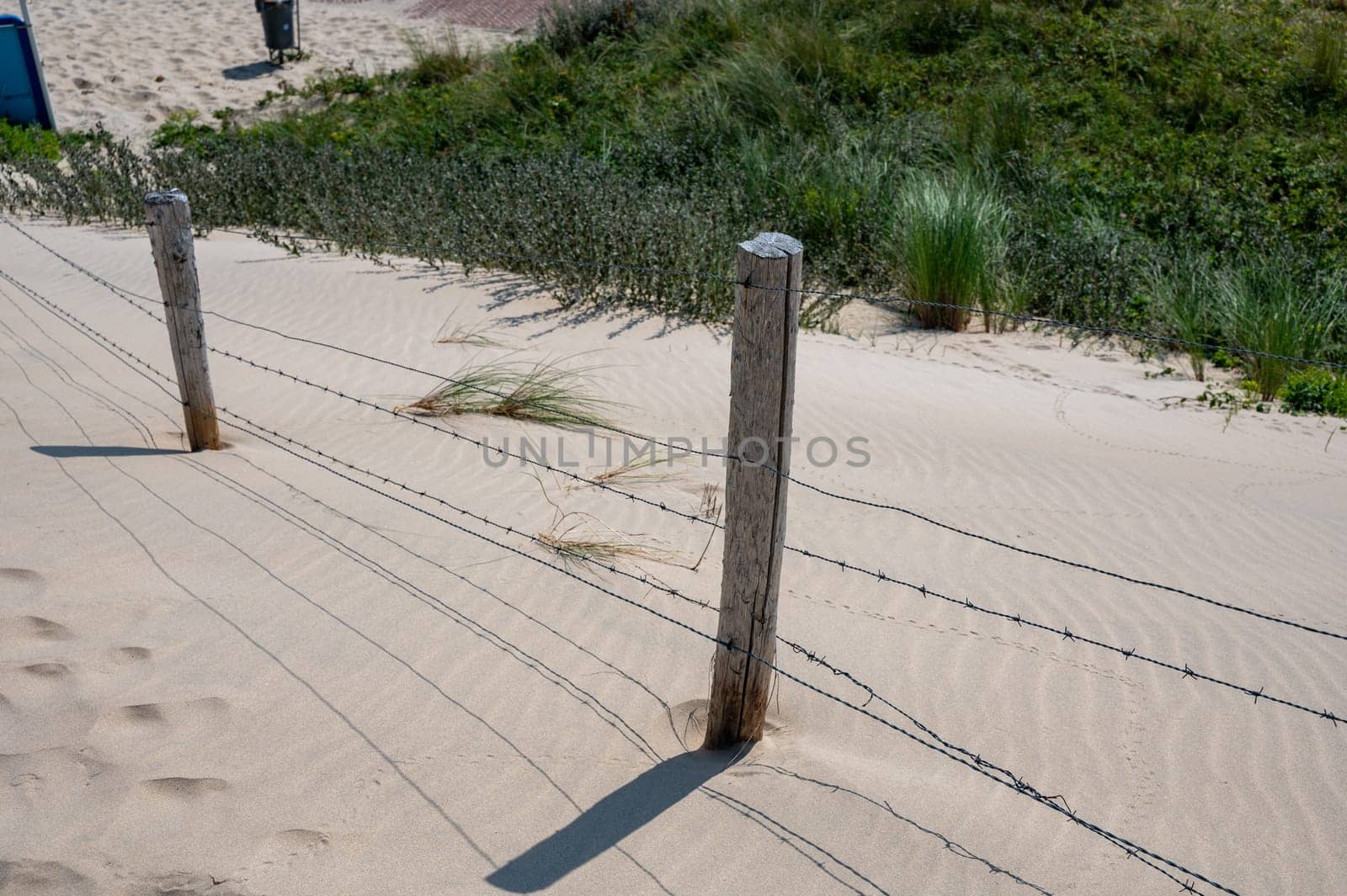 Barbed wire fence in the sand dunes with beach grass