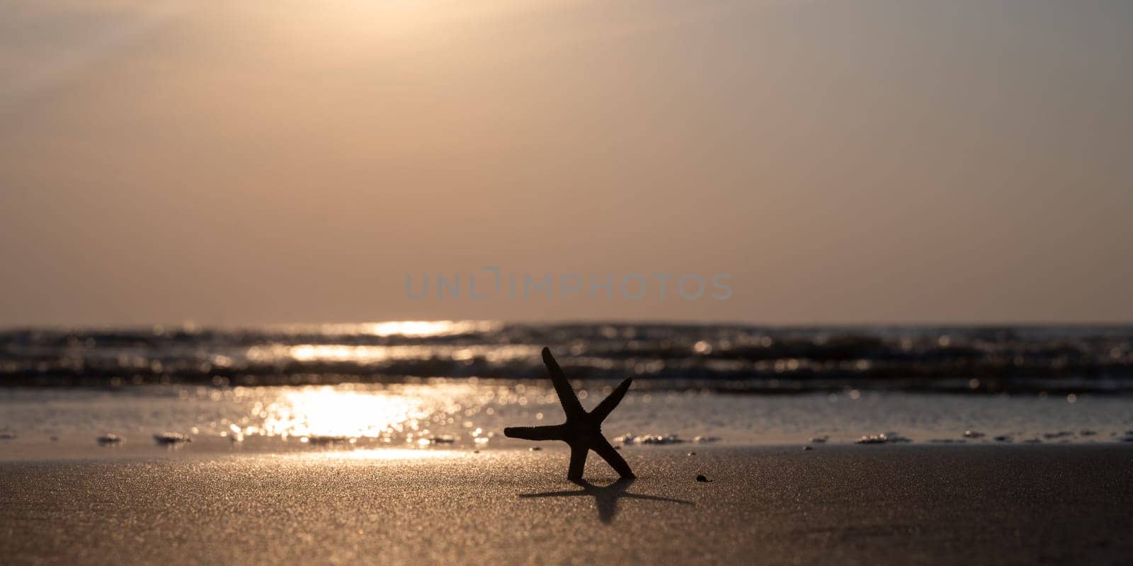 A starfish in the sand on a beach in front of the ocean waves at sunset