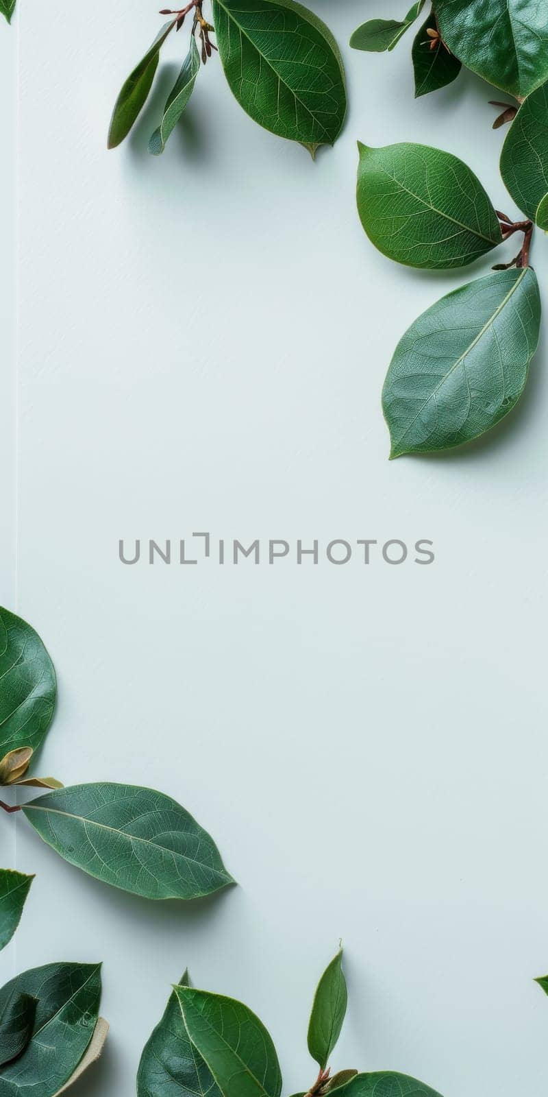 Blank space in marketing composition for text overlay.