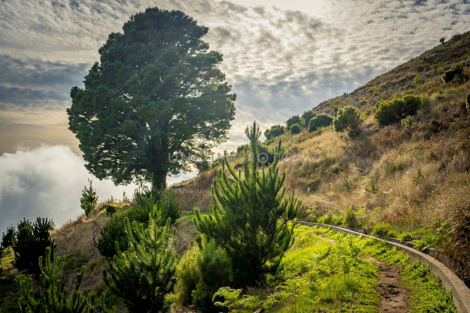 Landscape on Levada walk in Madeira, close to Posto Florestal da Cova Grande, and levada Do Paul