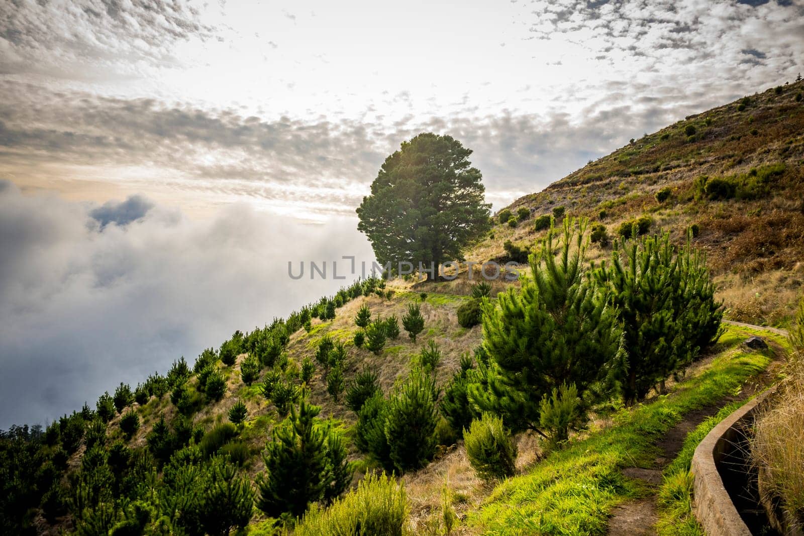 Landscape on Levada walk in Madeira, close to Posto Florestal da Cova Grande, and levada Do Paul