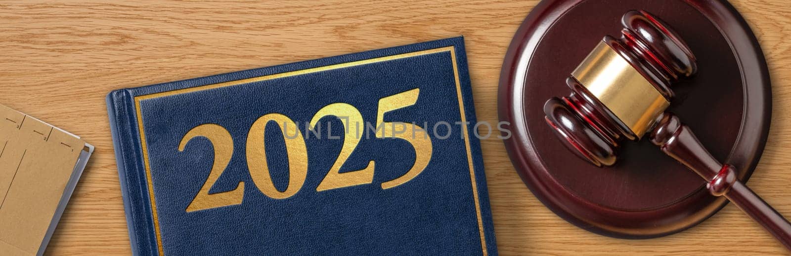 A law book with a gavel - 2025