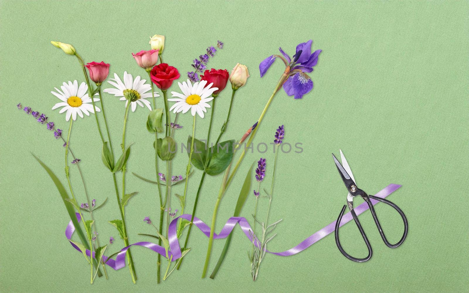 Scissors and colorful cut flowers ready to arrange a bouquet.