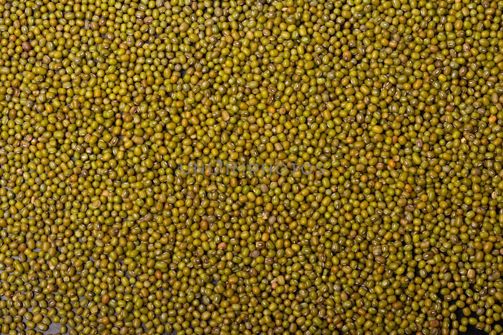 Mung beans close up texture pattern background, top viewpoint